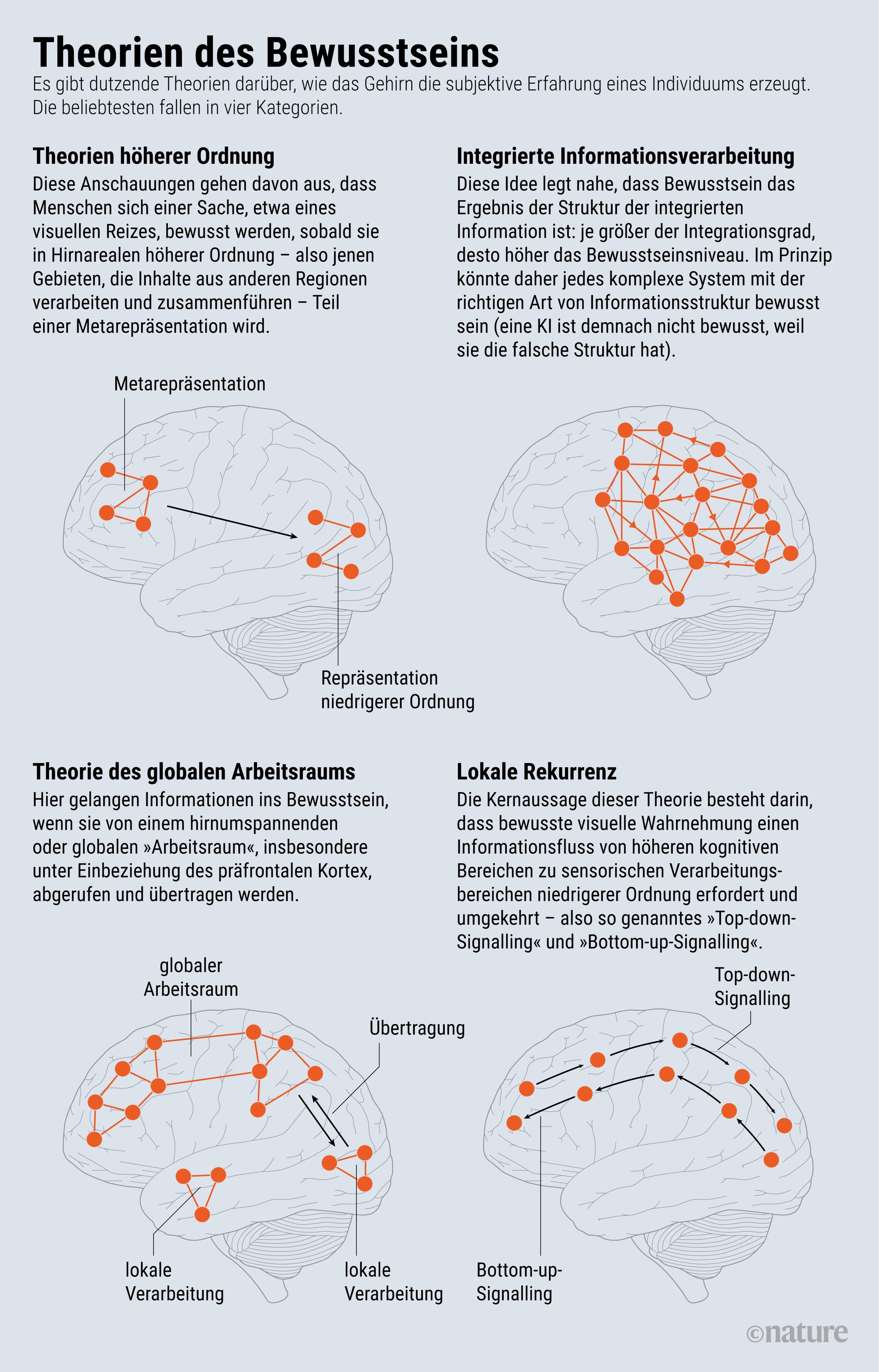 Infografik: Bewusstseinstheorien