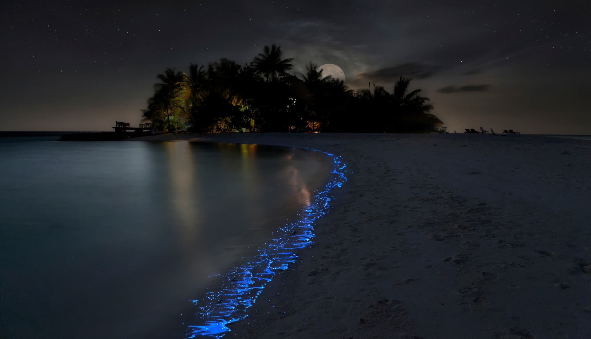 Leuchtende Algen an einem Tropenstrand
