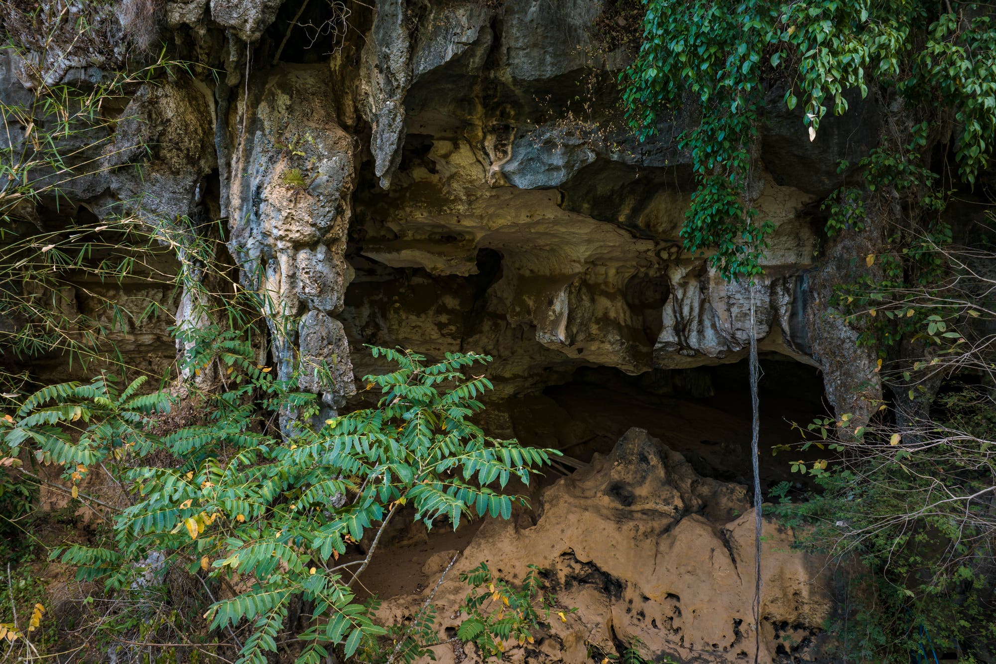 Kammer im Karstberg Bulu’ Sipong auf Sulawesi.