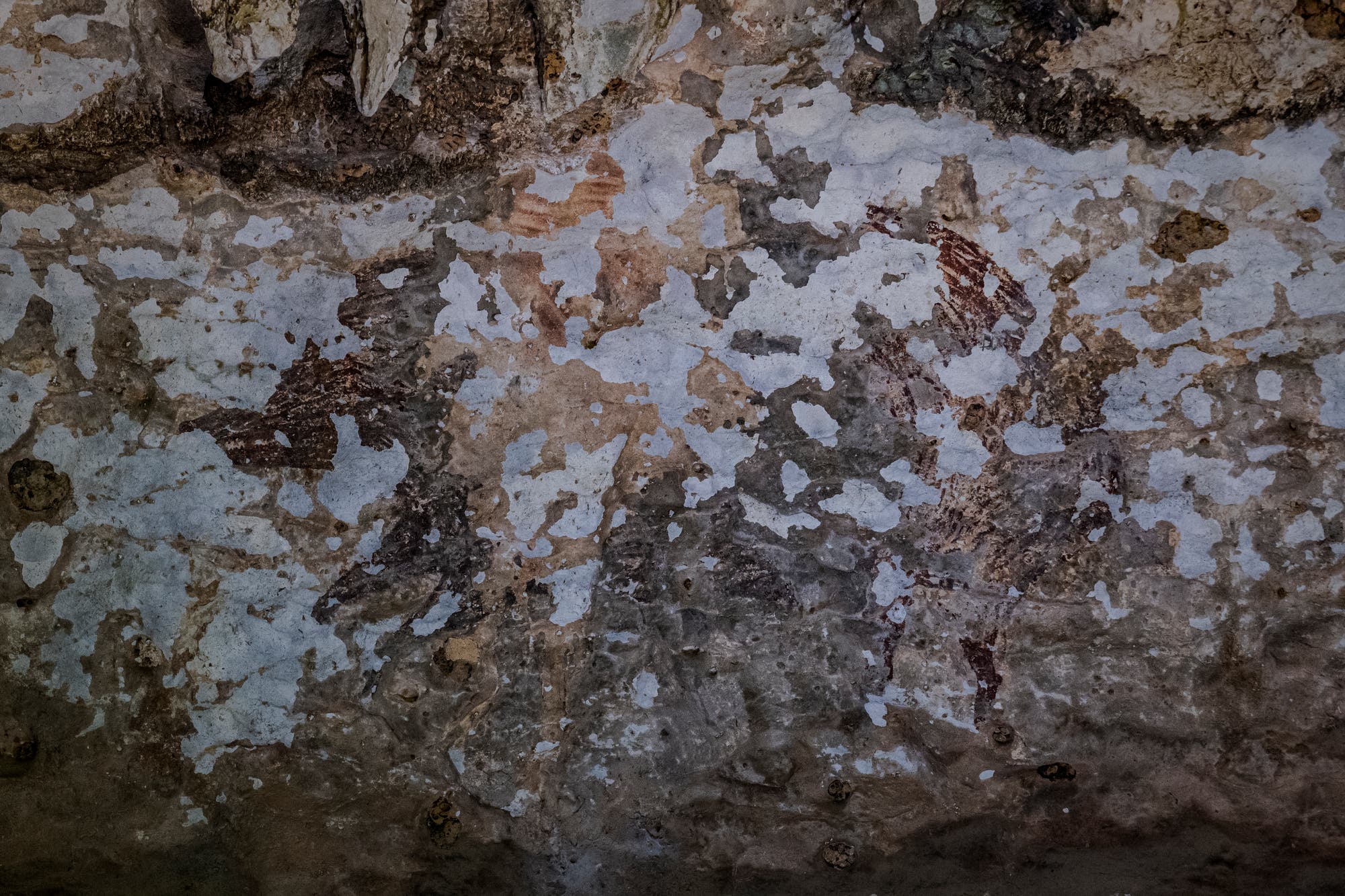 Dieses Bild eines Hirschebers befindet sich ebenfalls im Berg Bulu’ Sipong 4. 