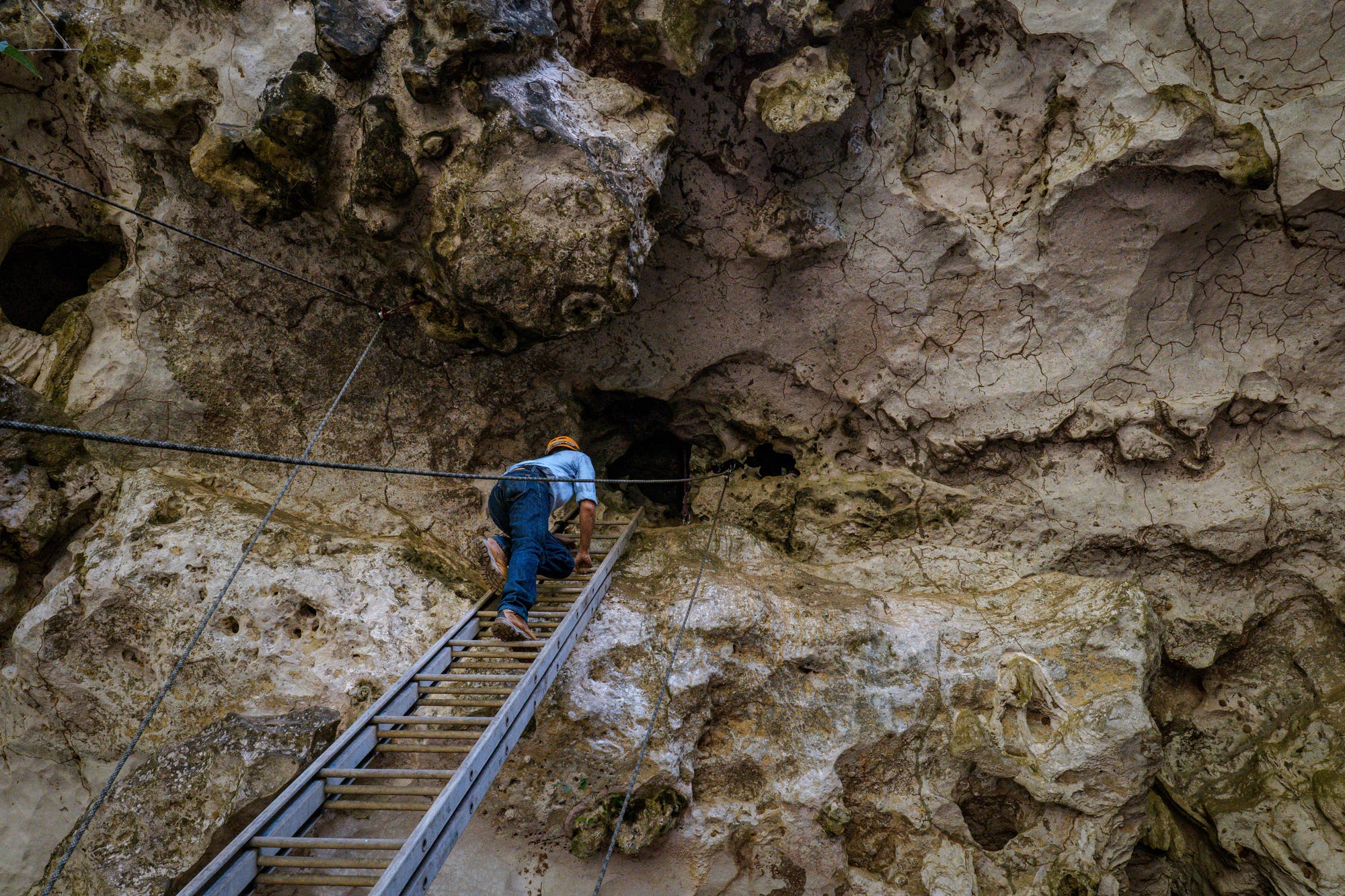 Archäologe Lebe steigt über eine Leiter in eine Höhle im Karstberg Bulu' Sipong 4.