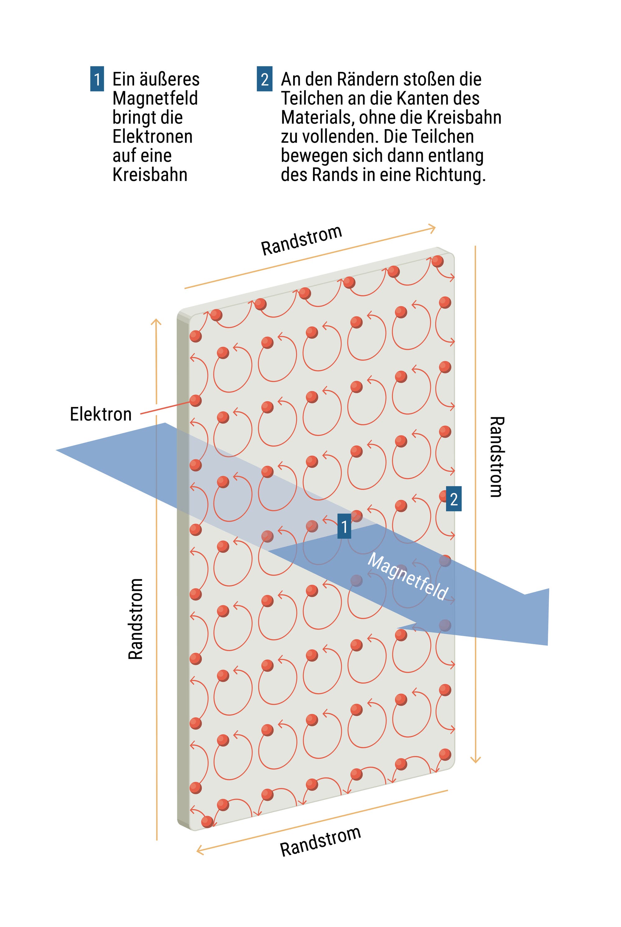 Eine Infografik zu topologischen Isolatoren, die zeigt, wie sich die Elektronen unter dem Einfluss eines Magnetfelds auf Kreisbahnen bewegen.