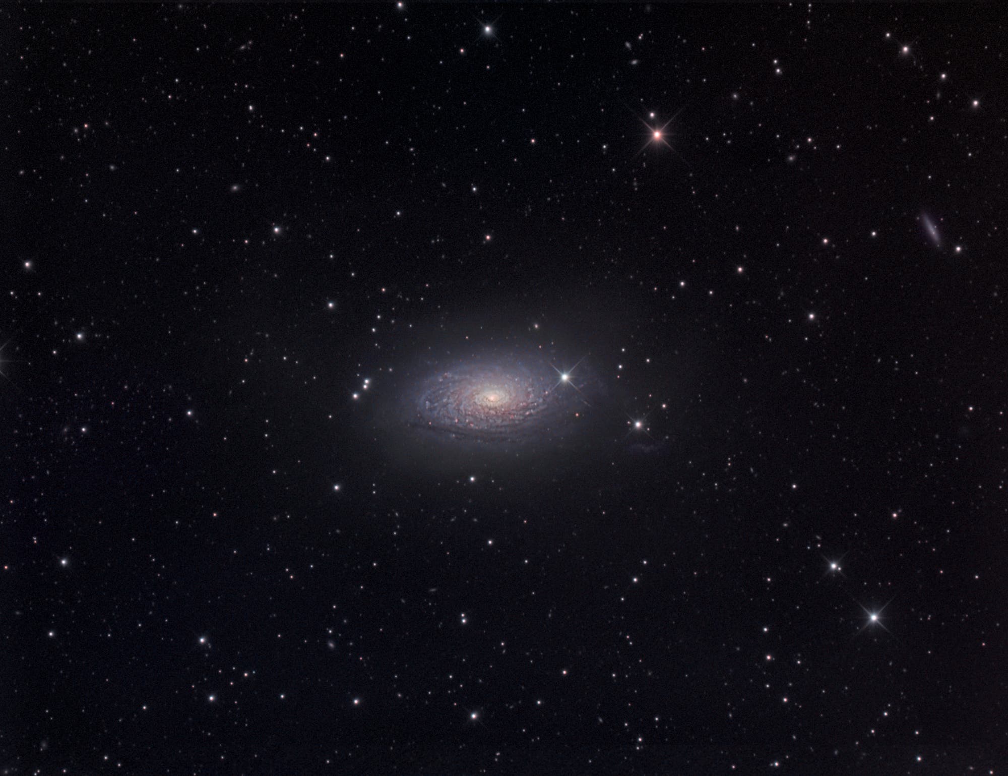 Die Sonnenblumen-Galaxie Messier 63 im Sternbild Jagdhunde