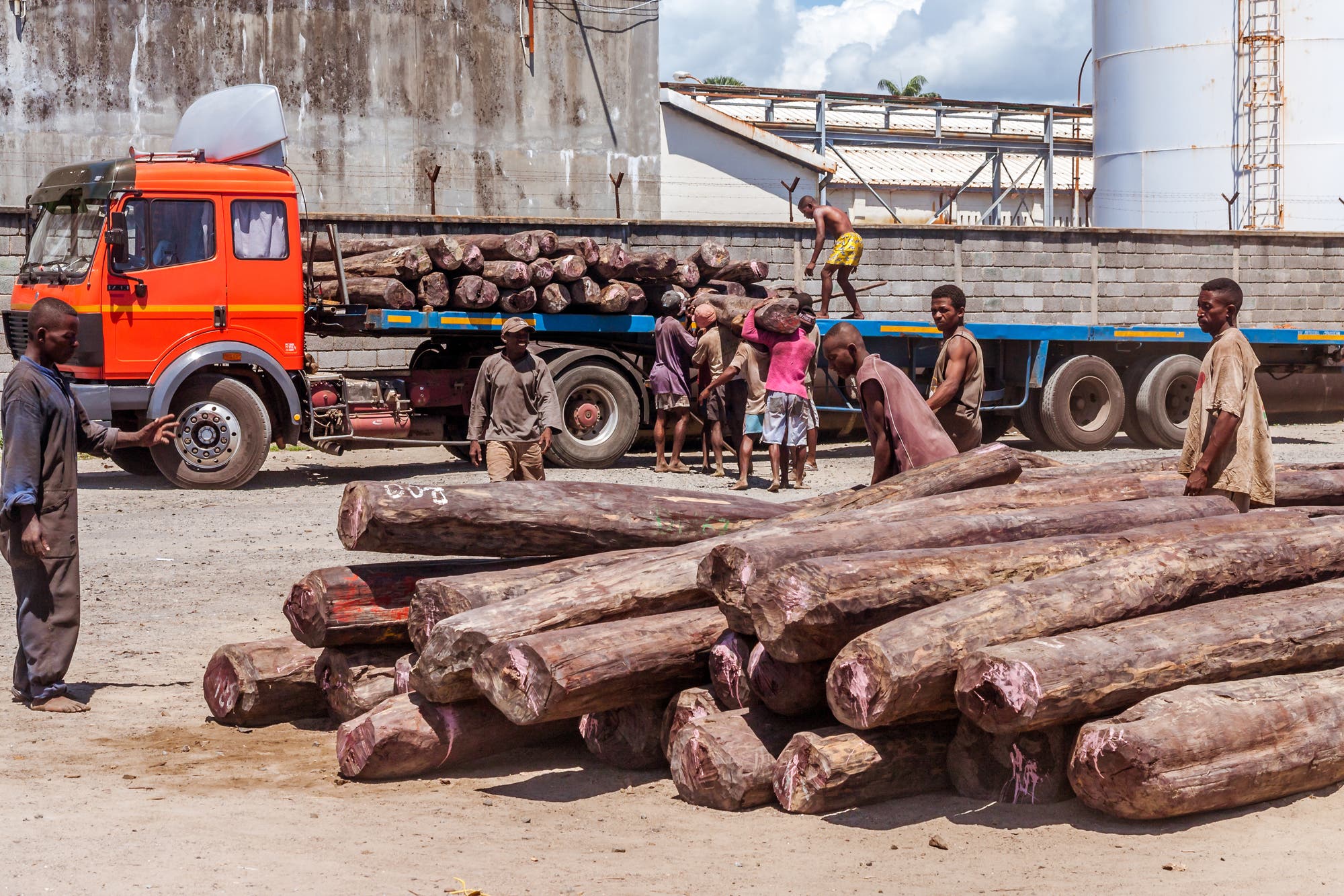 Export von Palisander aus Madagaskar