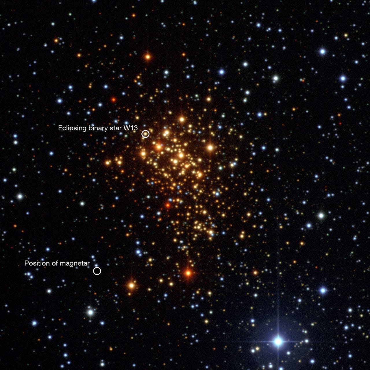 Der offene Sternhaufen Westerlund 1