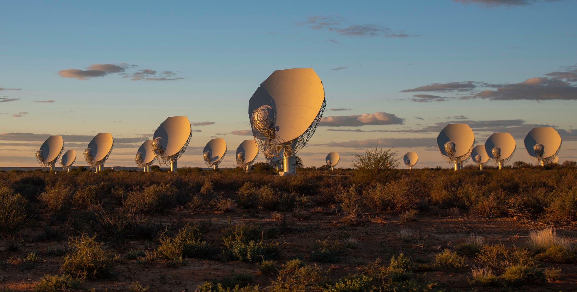 Eine Gruppe von großen, weißen Satellitenschüsseln steht in einer trockenen, buschigen Landschaft unter einem klaren Himmel mit vereinzelten Wolken. Die Schüsseln sind in einer Reihe angeordnet und fangen das warme Licht der tief stehenden Sonne ein. Es gibt keine Menschen im Bild. Die Szene vermittelt ein Gefühl von Ruhe und technologischer Präzision.