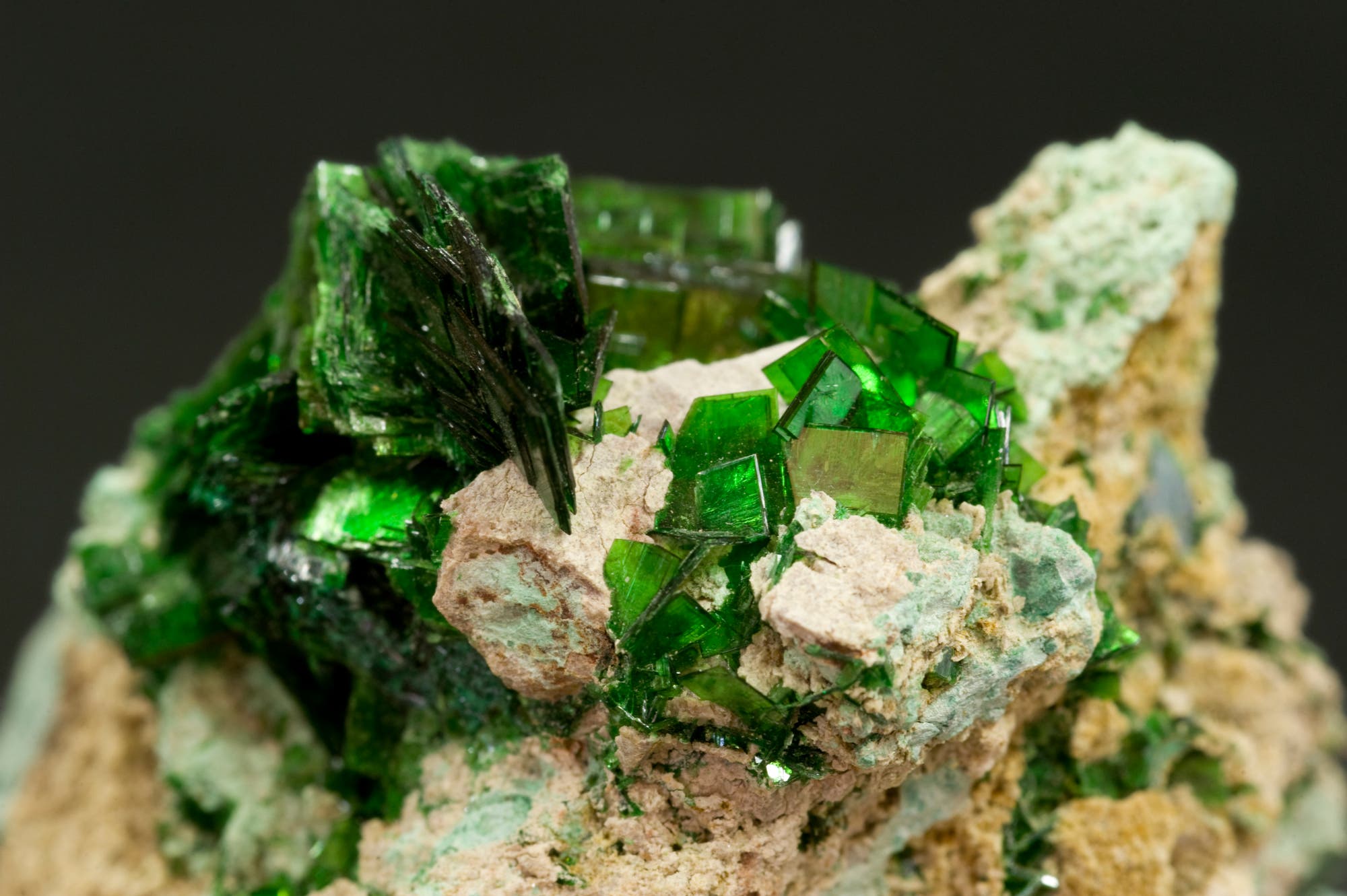Metatorbernit, ein uranhaltiges Mineral aus dem Kongo