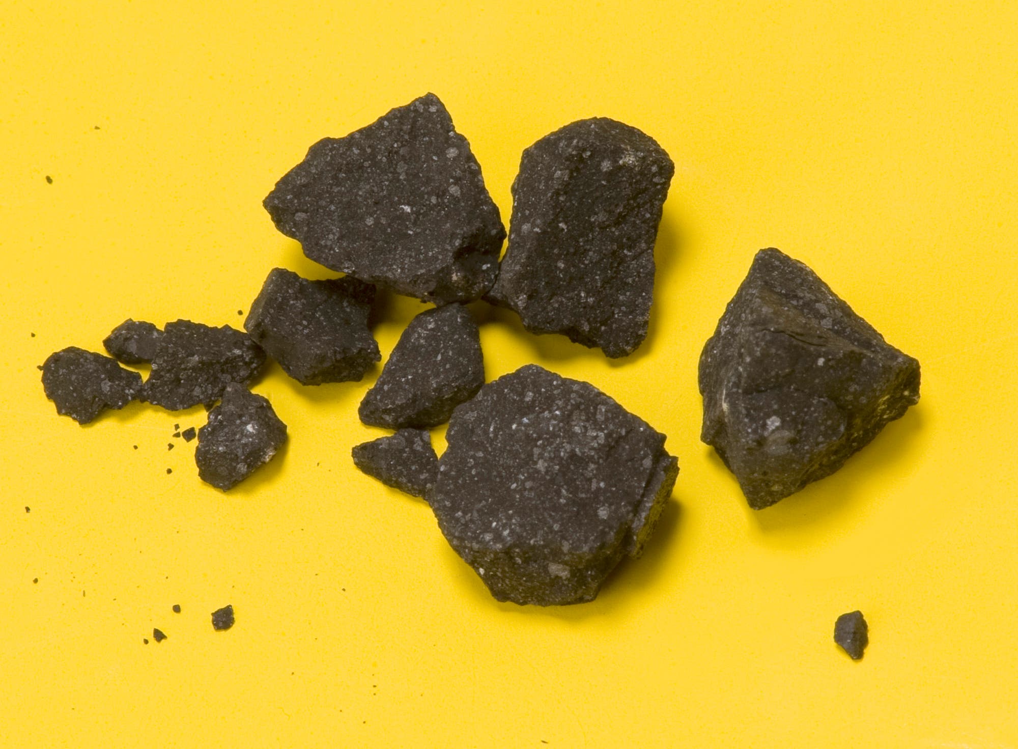 Bruchstücke des Meteoriten von Sutter's Mill