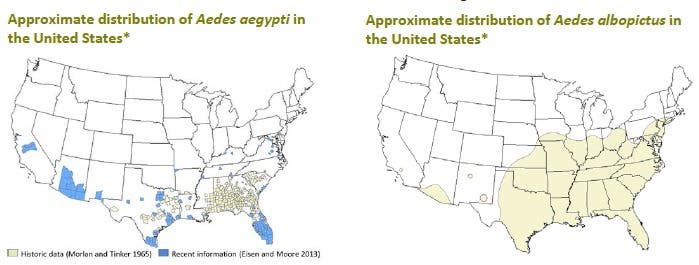 Verbreitung der Überträgermücken in den USA