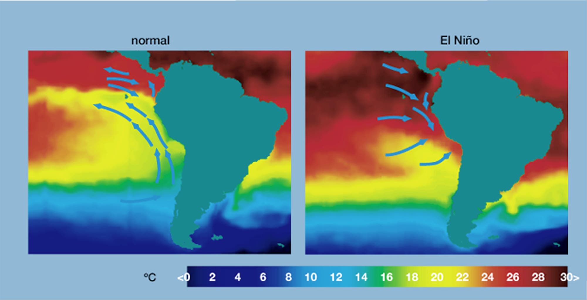 Wasserbewegungen im Ostpazifik während eines El Niño
