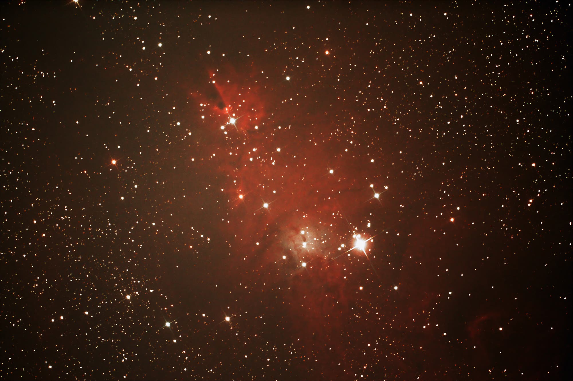 Der Weihnachtsbaumsternhaufen NGC 2264