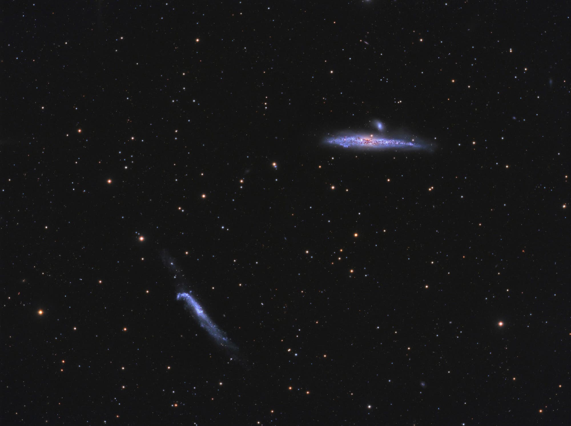 Der Walfisch und der Hockeyschläger (NGC 4631 und 4656)