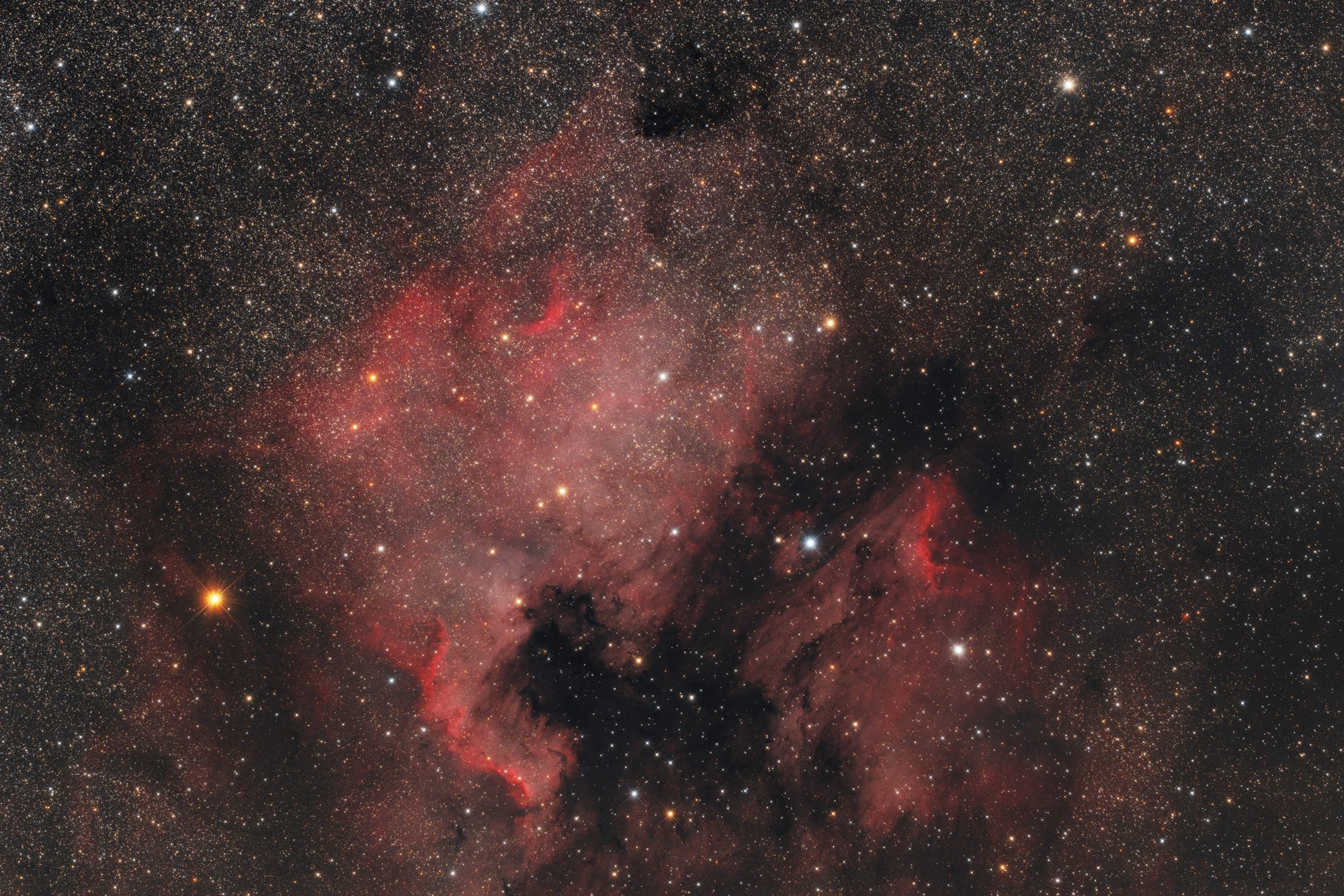 Das Bild zeigt den Nordamerikanebel NGC 7000 im Sternbild Schwan.