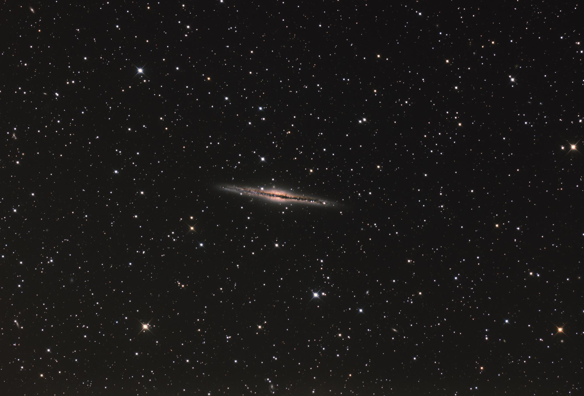 Die Edge-on-Galaxie NGC 891