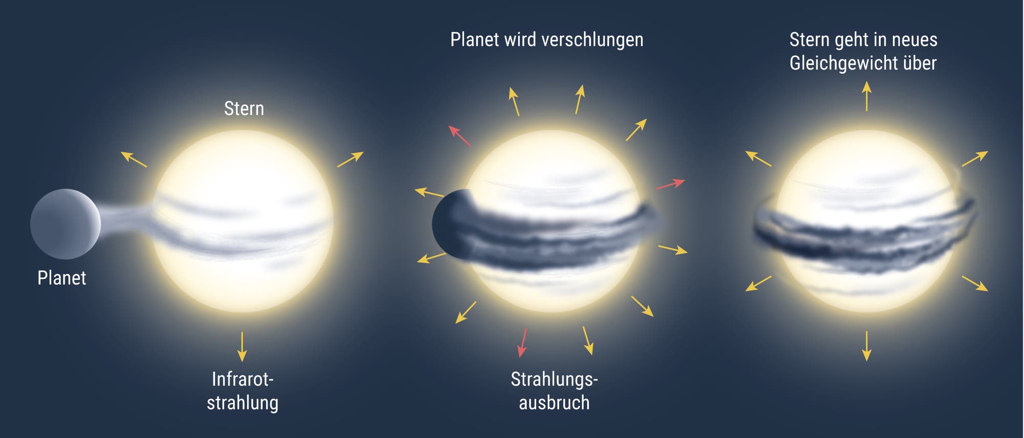 Infografik zur Verschmelzung eines Riesenplaneten mit seinem Wirtsstern