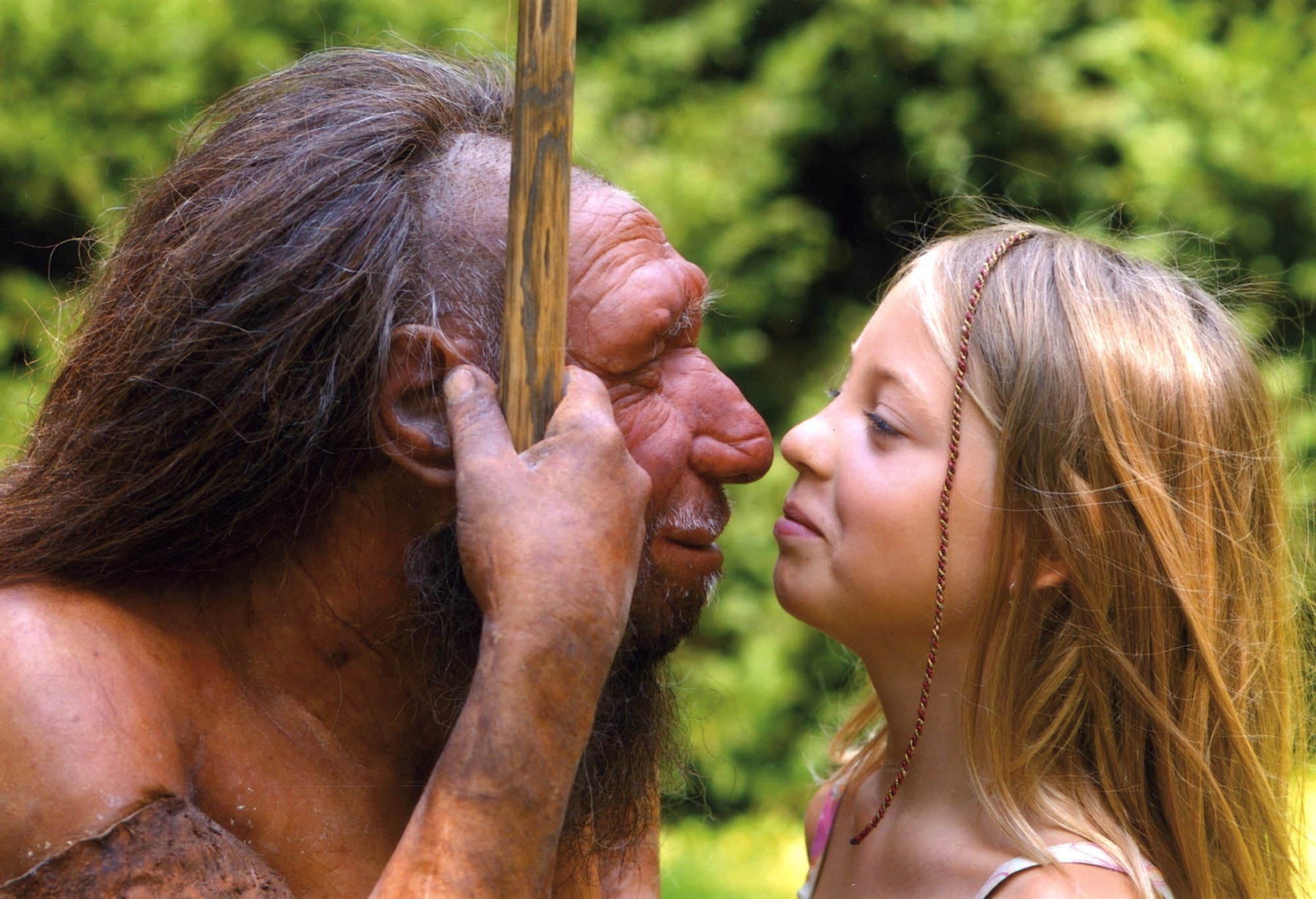 Neandertaler und der Mensch