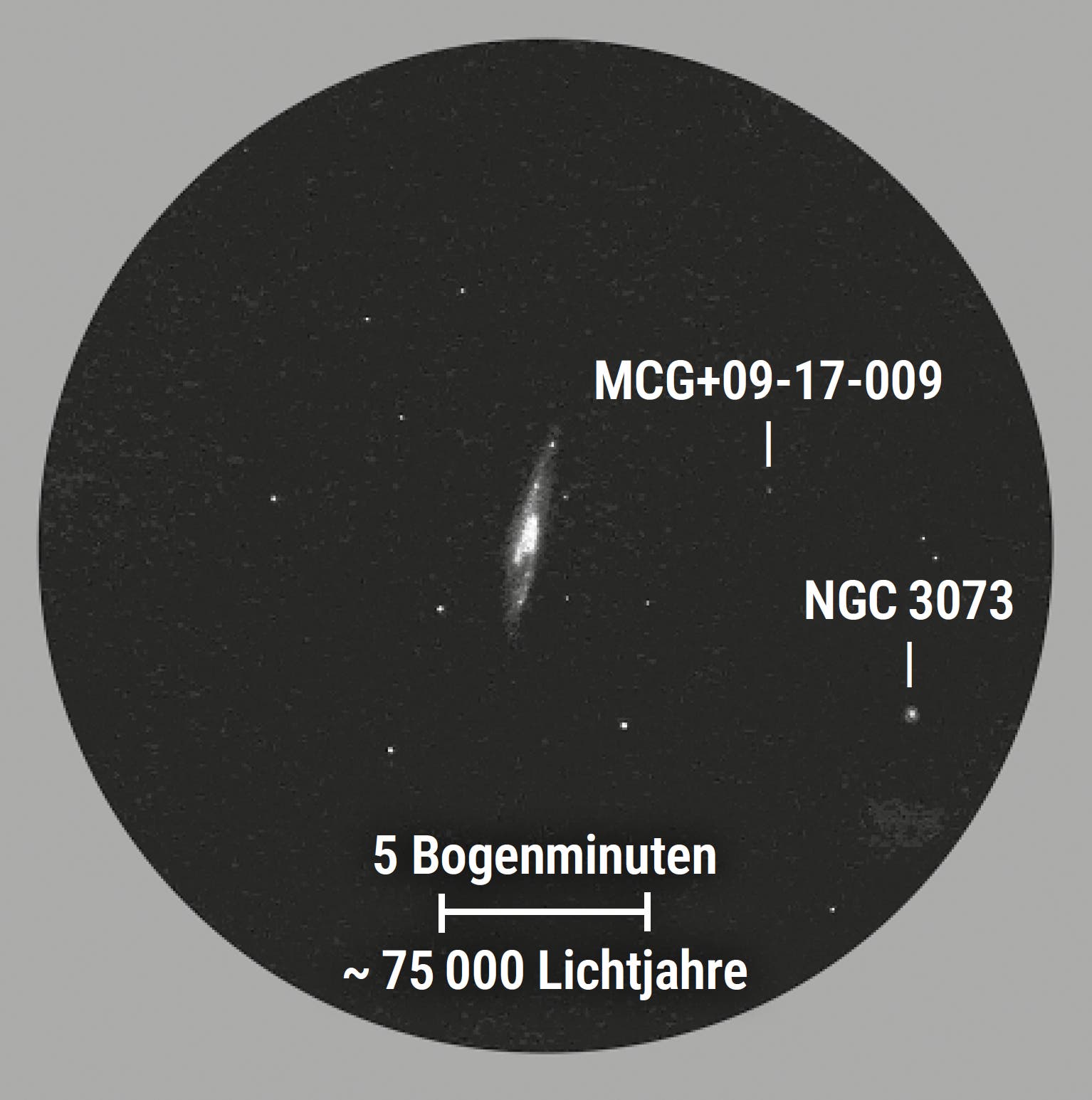 Zeichnung des visuellen Eindrucks der Galaxie NGC 3079 und ihrer beiden Begleitgalaxien.