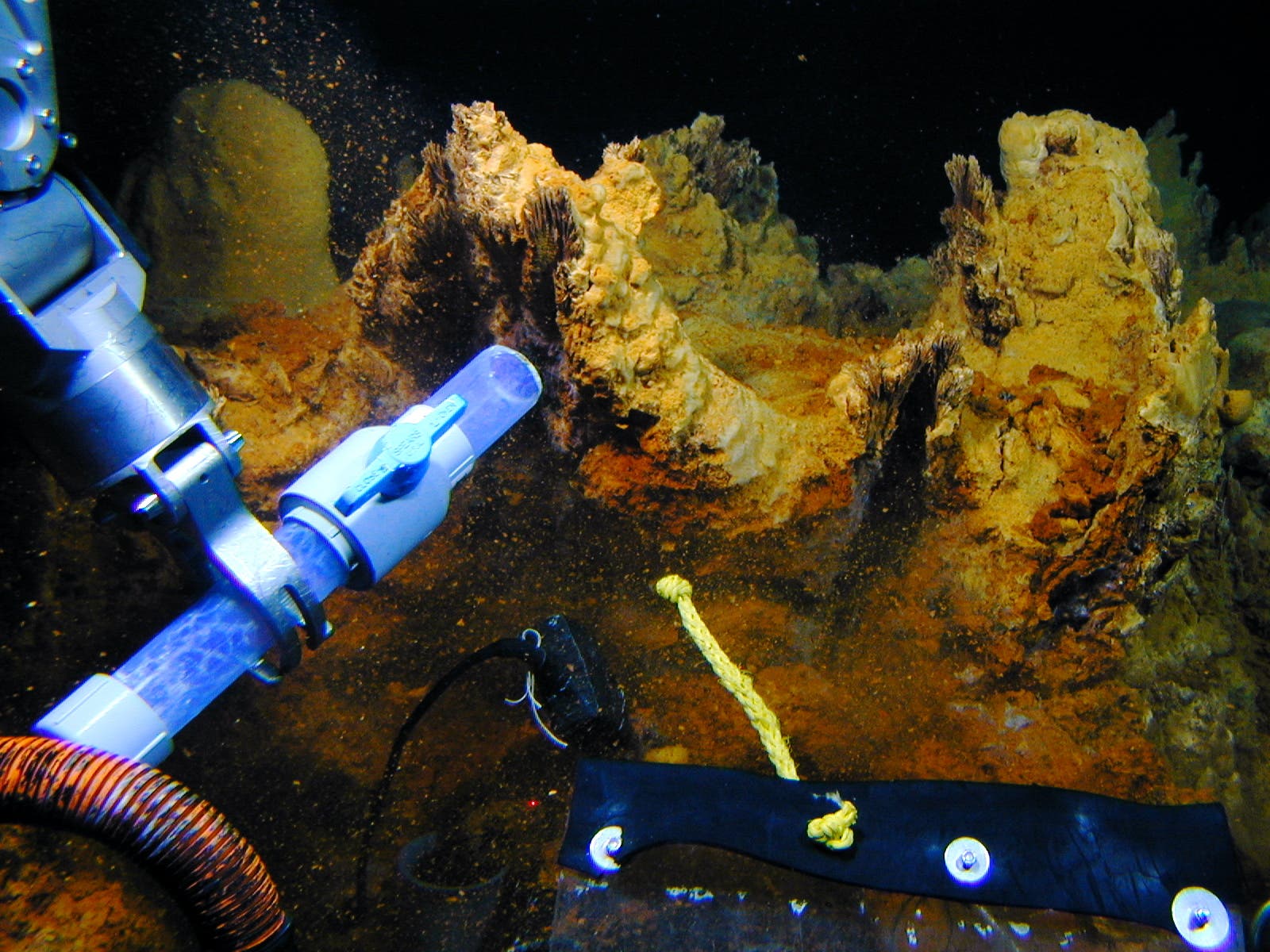 Bakteriensammeln am Unterwasservulkan