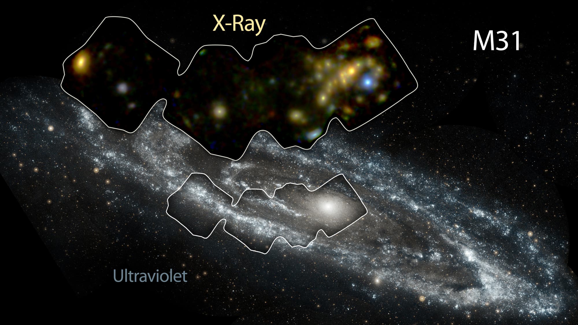 Die hellste Röntgenquelle in der Andromedagalaxie (Übersichtsaufnahme)