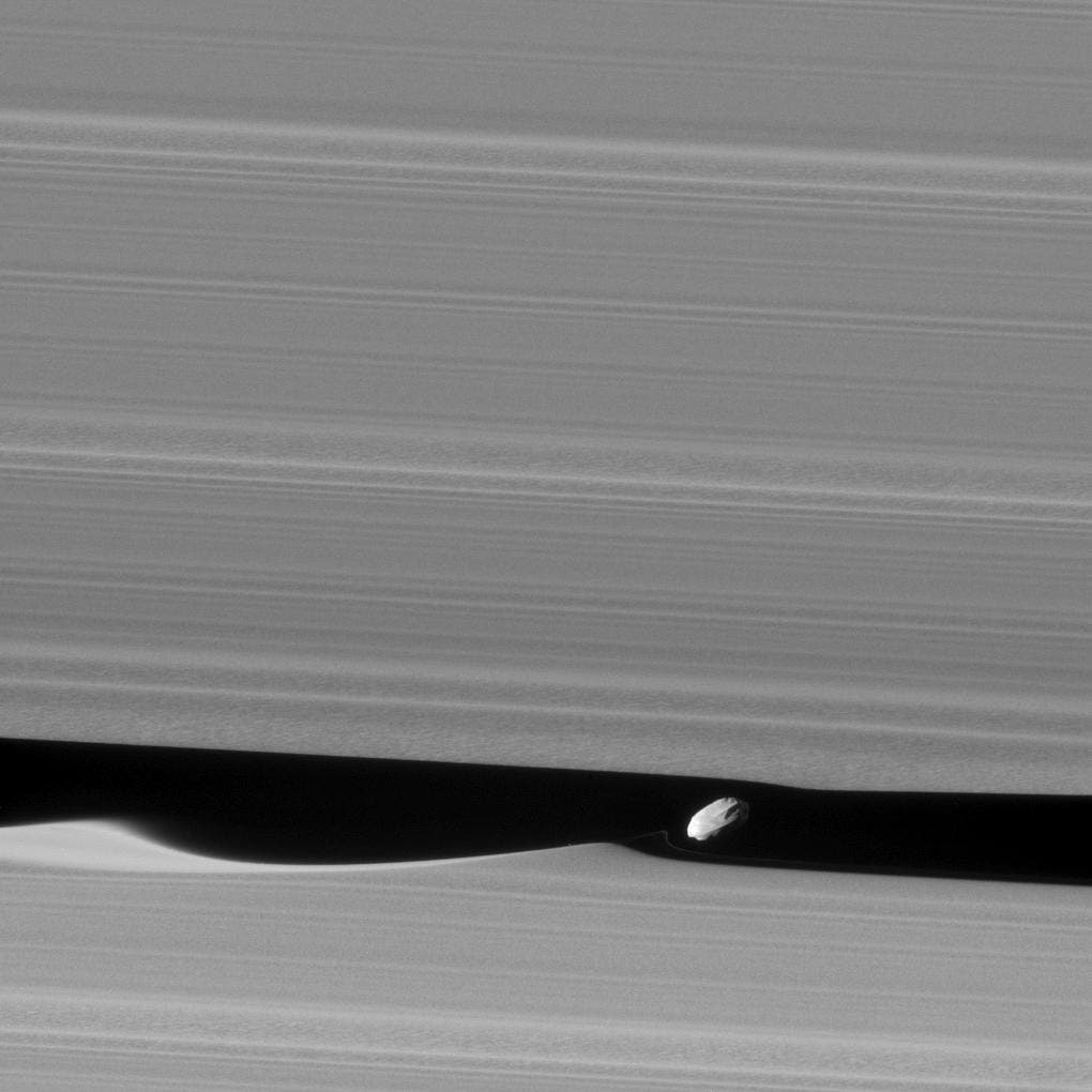 Der Mond Daphnis schlägt Wellen in der Keeler-Lücke der Saturnringe