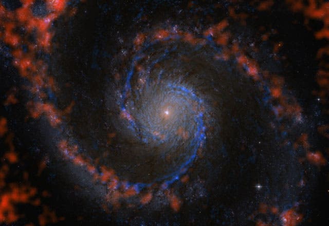 Die Verteilung molekularen und atomaren Gases in der Spiralgalaxie M 51