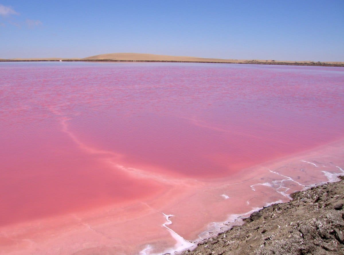 Salzsee in Namibia