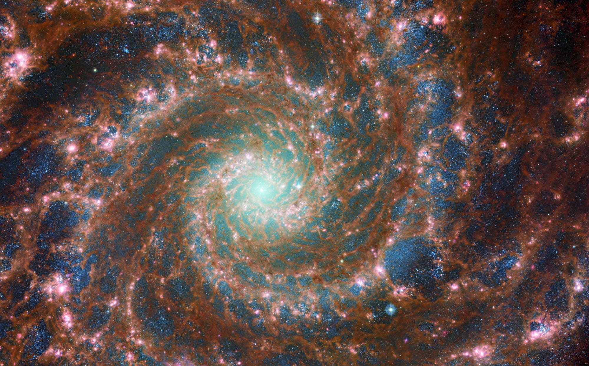 Die Spiralgalaxie M74 