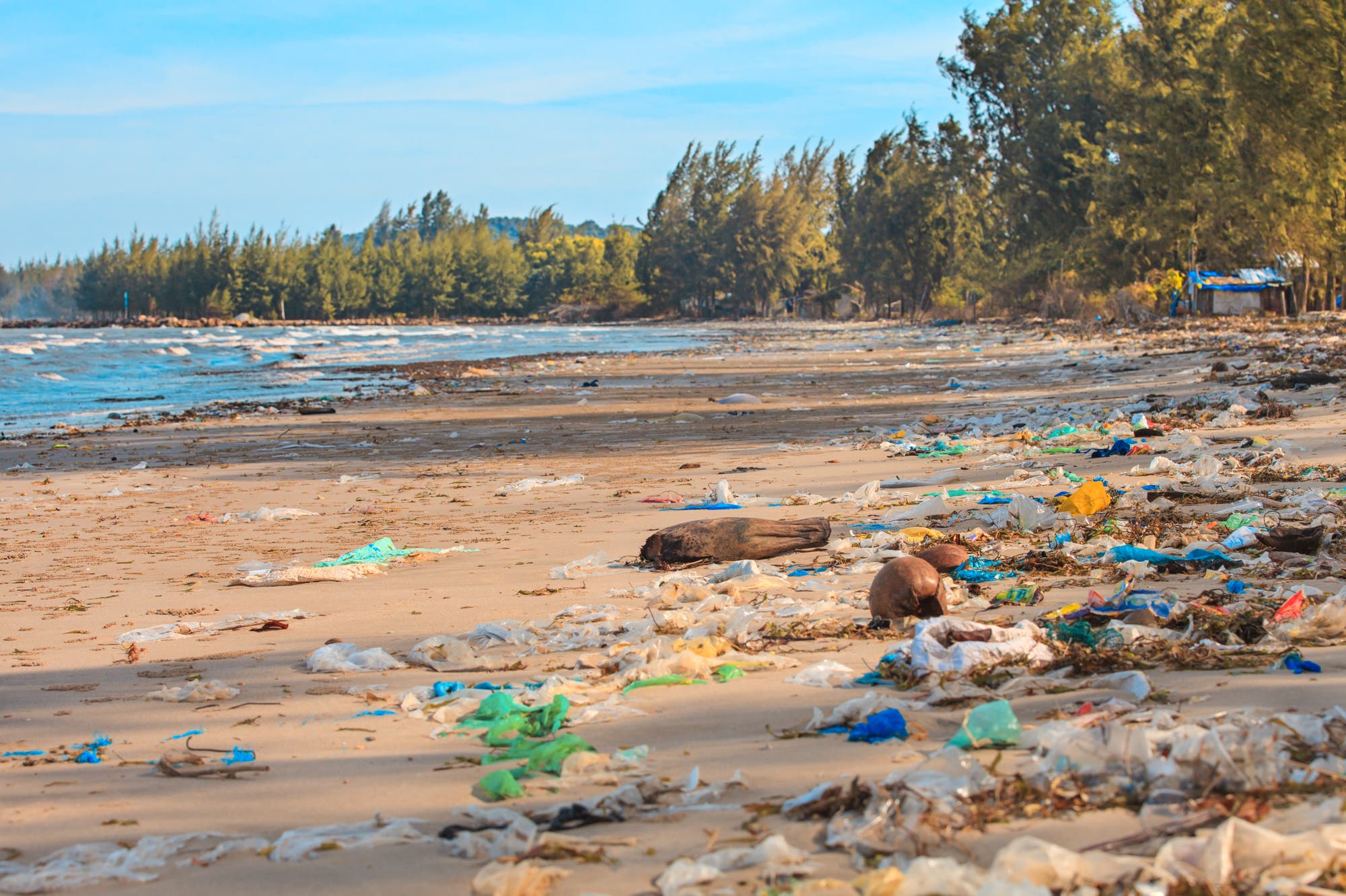 Erhöhte Aufmerksamkeit erhielt in den letzten Jahren das Thema "Plastikmüll im Meer": Billionen Kunststoffteilchen verschiedenster Größe treiben mittlerweile in den Ozeanen, sanken bereits in die Tiefsee oder verschmutzen die Strände.