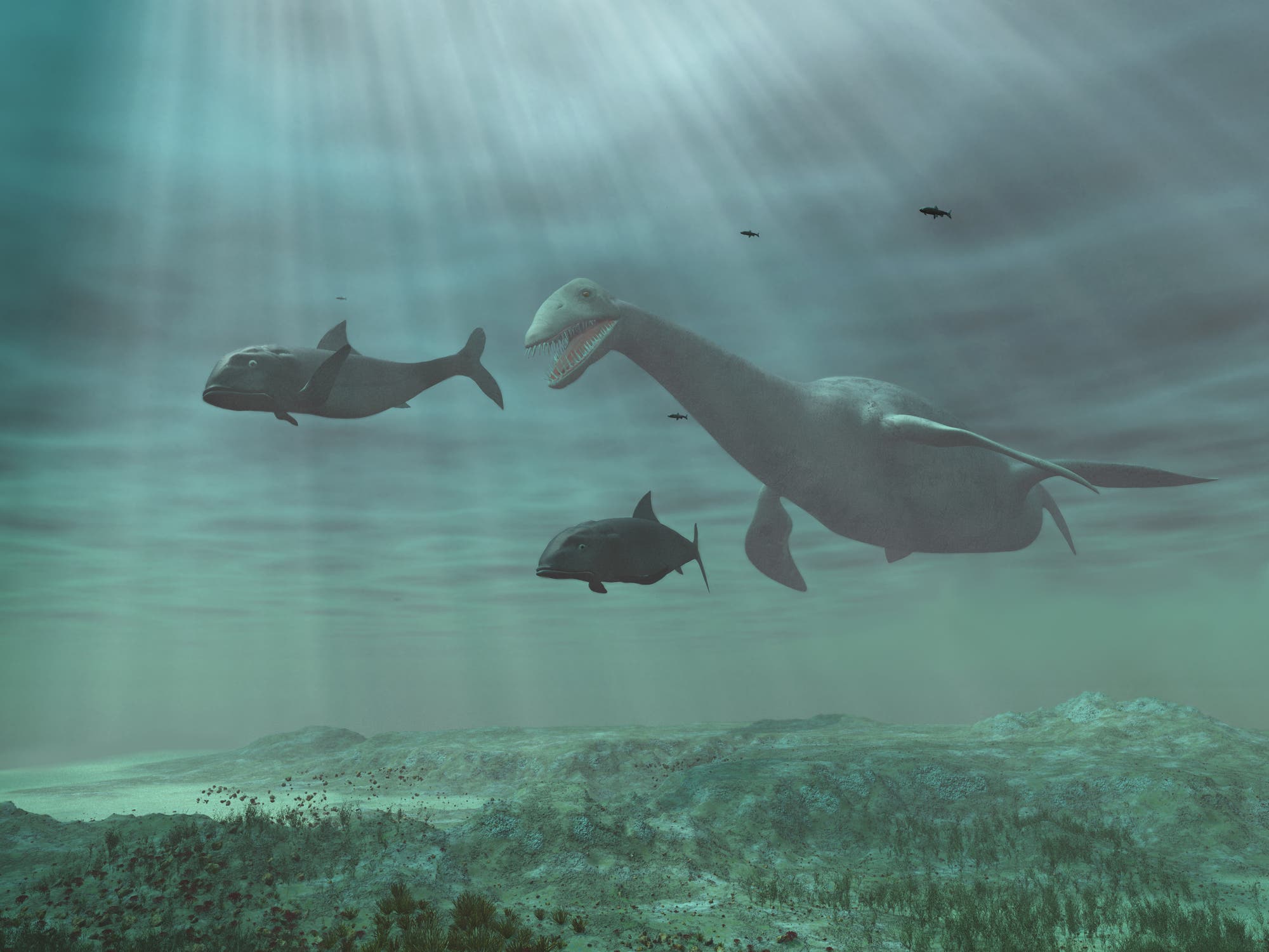9. Plesiosaurier – Die Lauerjäger im Wasser