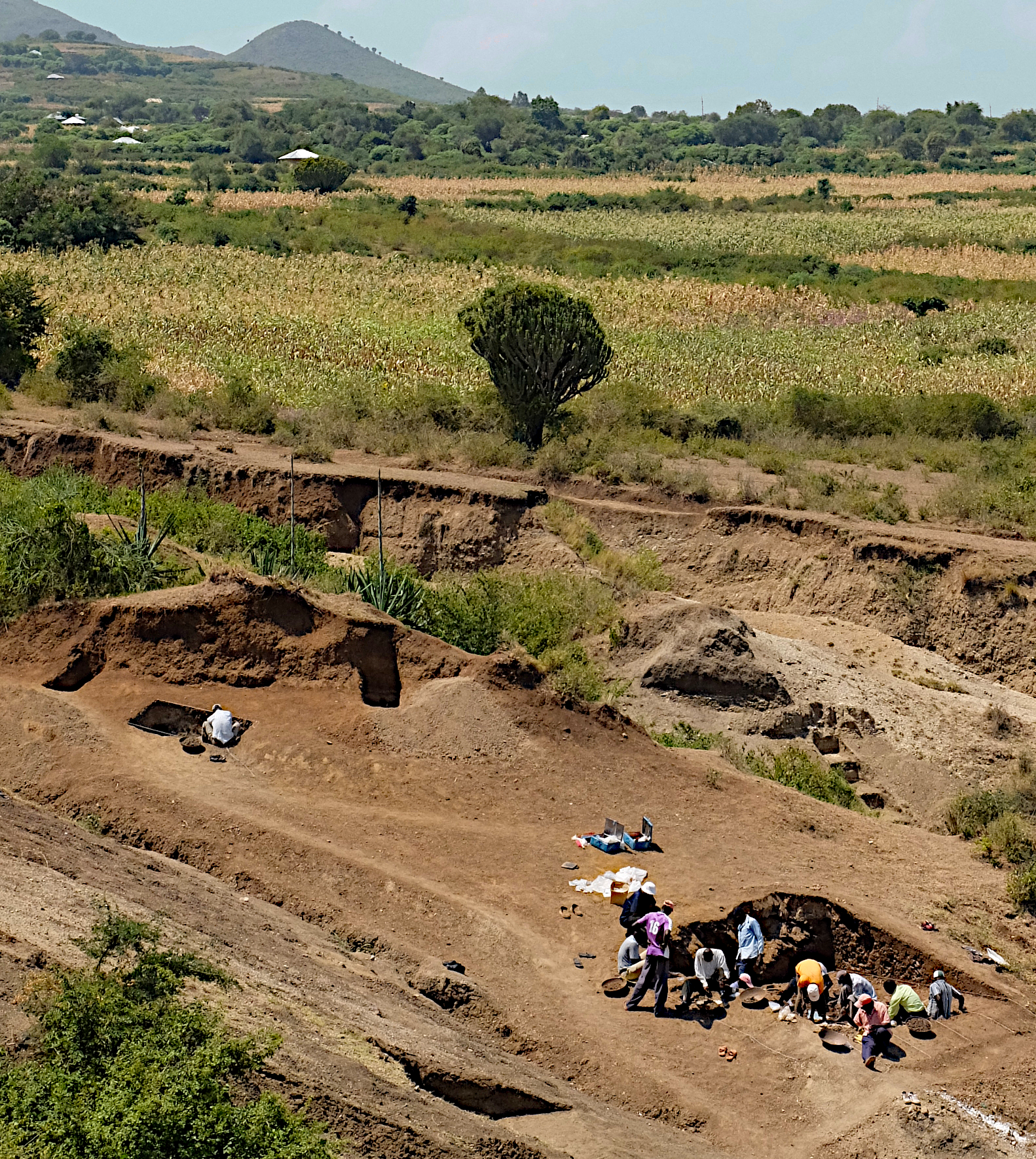 Grabung am kenianischen Fundplatz Nyayanga.