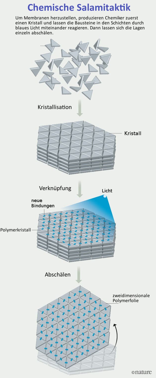 Schematische Darstellung der Herstellung zweidimensionaler Polymerfolien