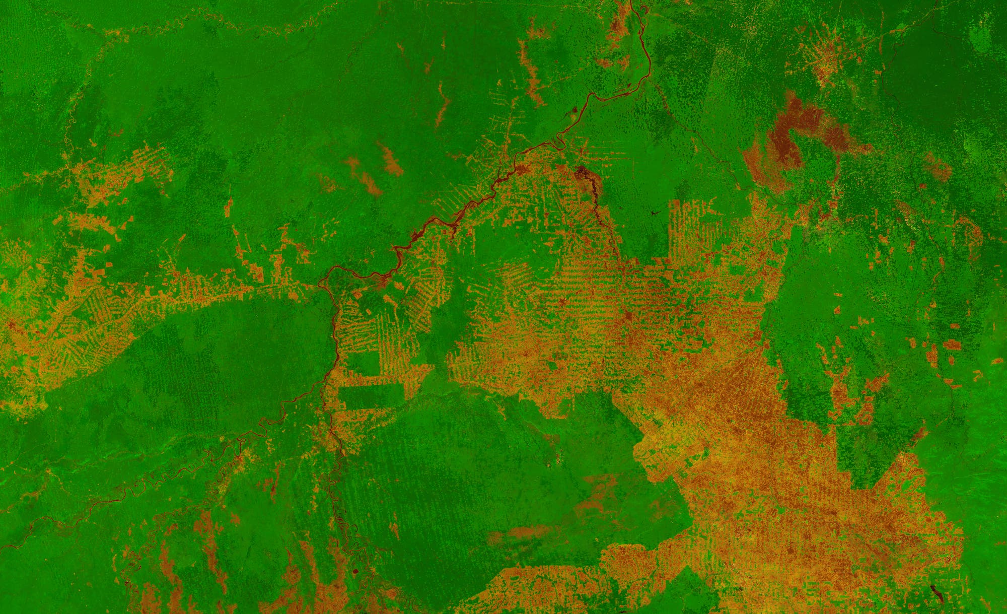 Satellitenbild Vegetation Brasilien