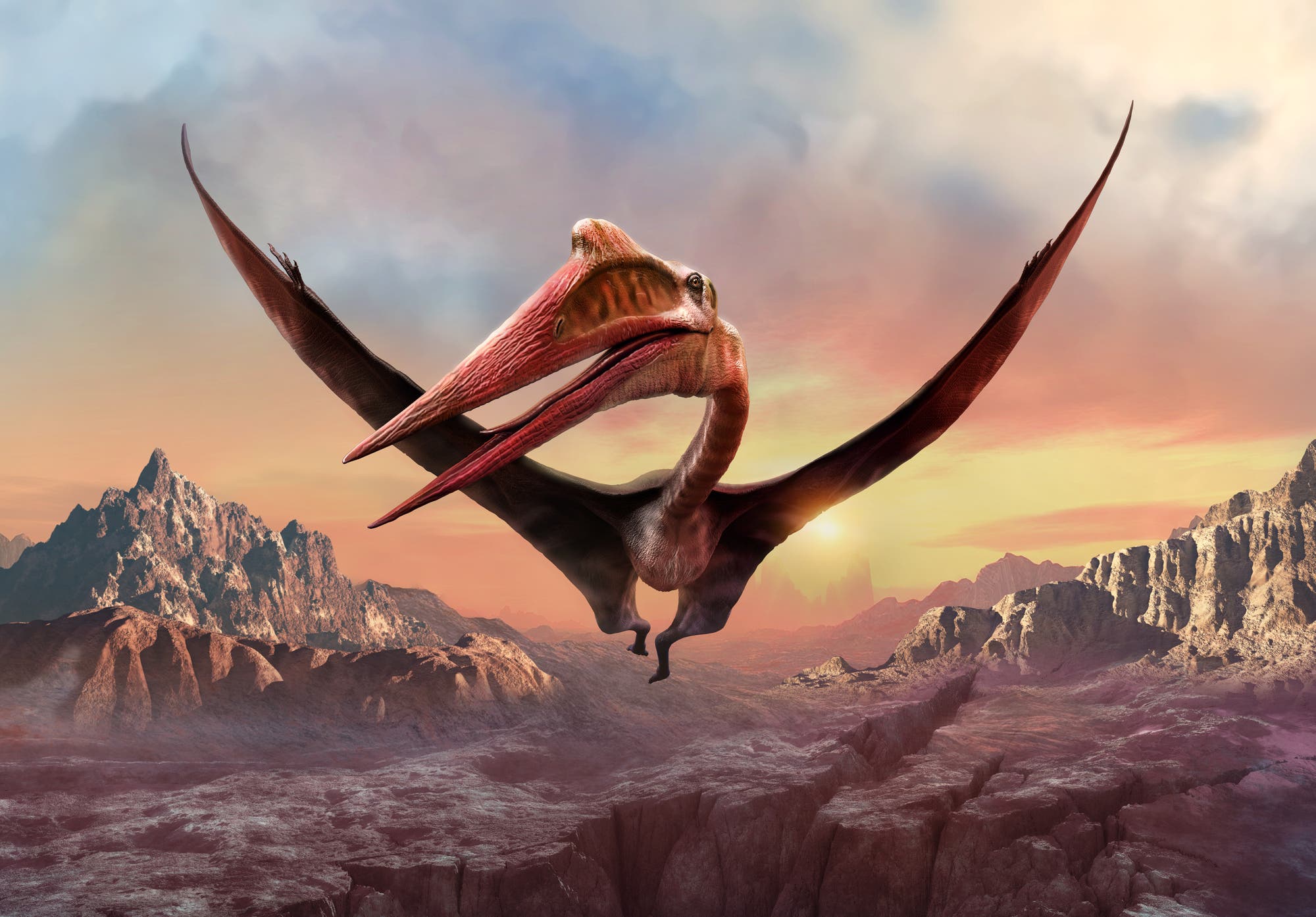 Quetzalcoatlus gilt als eines der größten flugfähigen Tiere der Erdgeschichte.