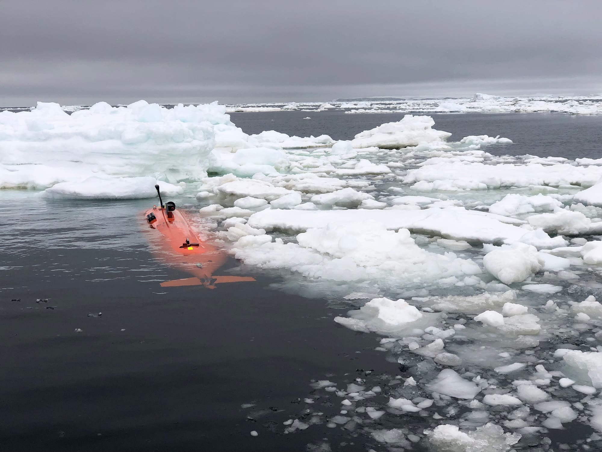 Ein Foto zeigt ein orangefarbenes autonomes U-Boot, das gerade unter der Wasseroberfläche abtaucht. Ringsum sind Eisschollen zu sehen