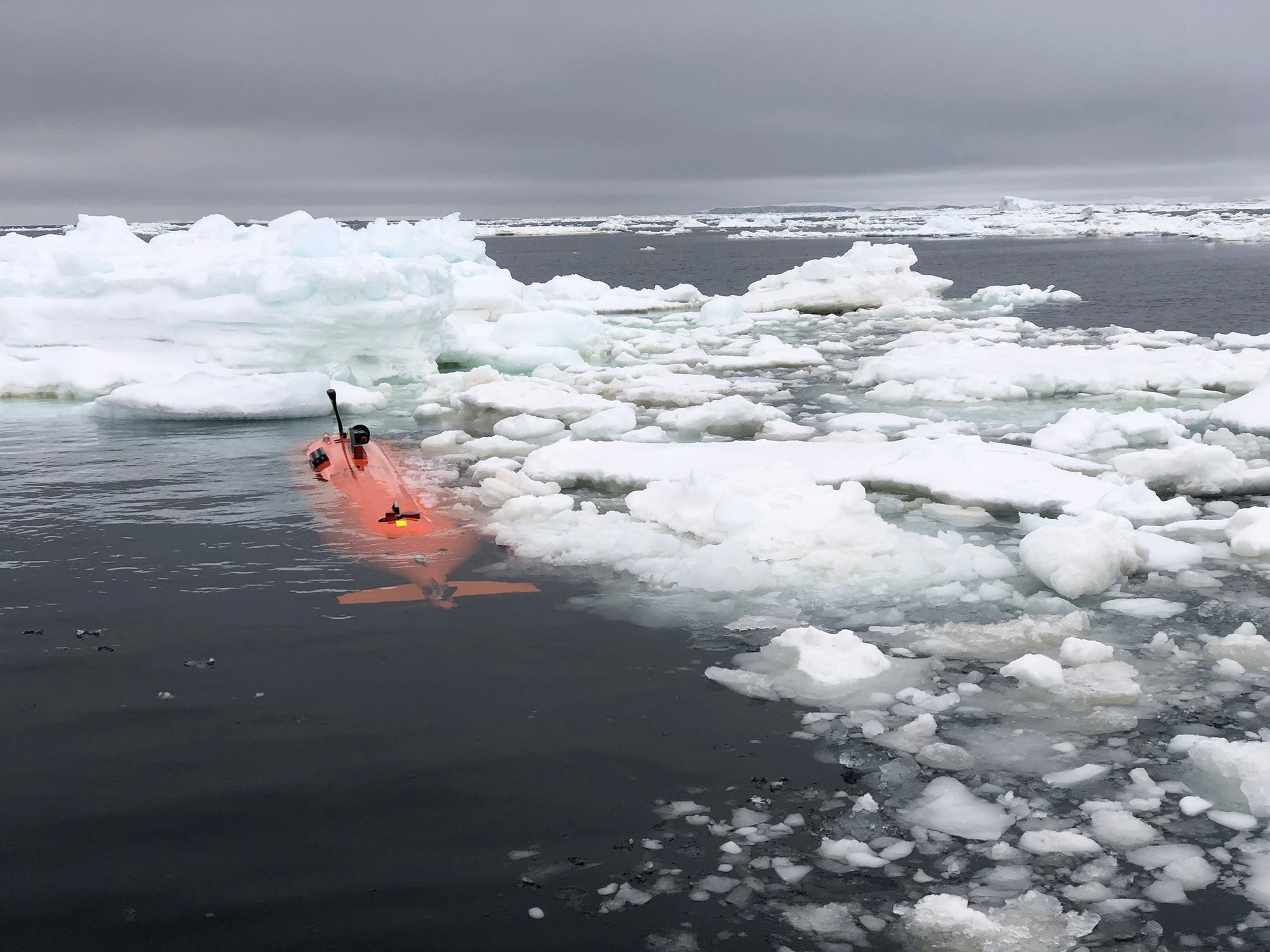 Ein Foto zeigt ein orangefarbenes autonomes U-Boot, das gerade unter der Wasseroberfläche abtaucuht. Ringsum sind Eisschollen zu sehen
