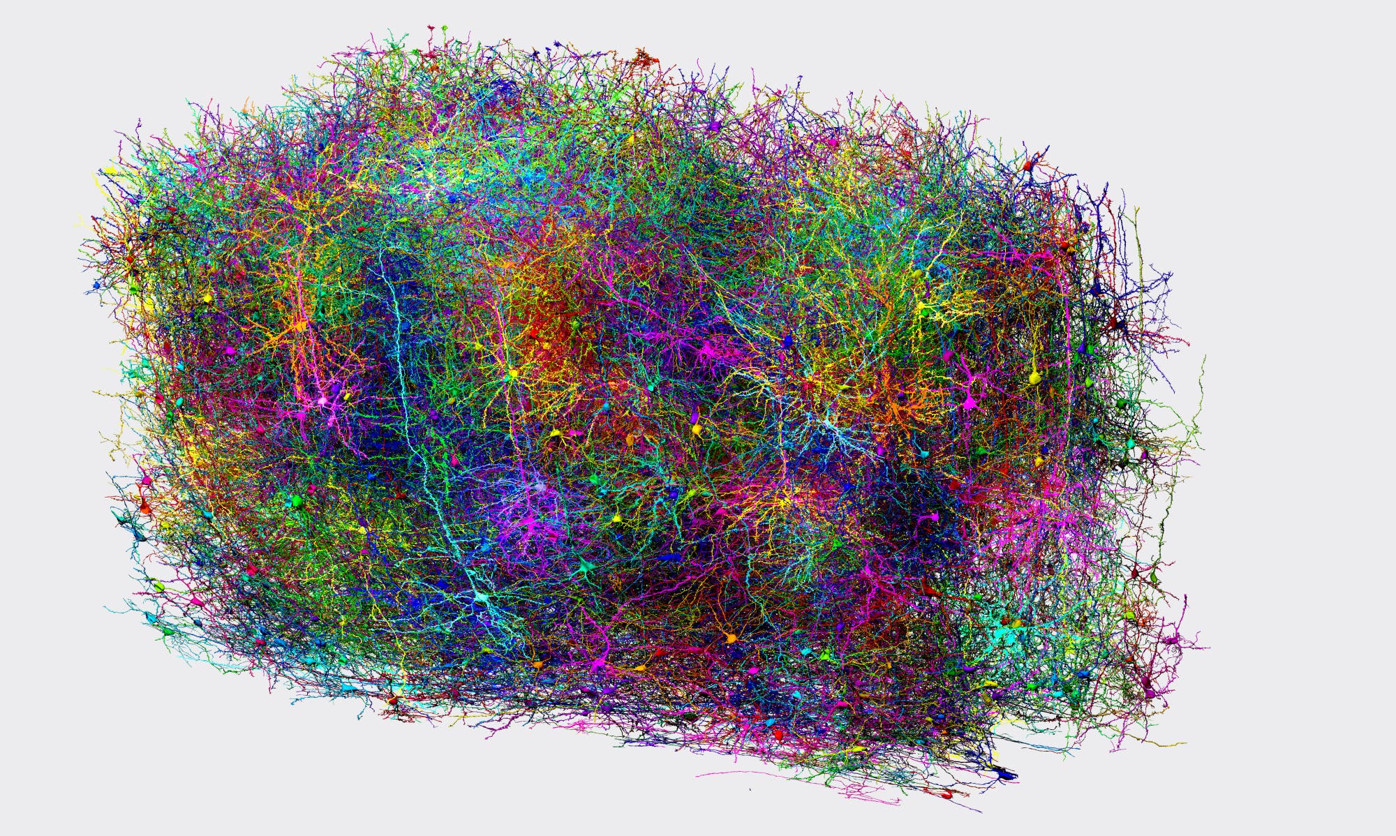 Eine komplexe, farbenfrohe Darstellung eines neuronalen Netzwerks, das die dichte und verzweigte Struktur von Neuronen zeigt. Die Linien sind in verschiedenen Farben wie Blau, Grün, Rot und Gelb dargestellt, um die Vielfalt und Komplexität der neuronalen Verbindungen zu verdeutlichen. Die Darstellung vermittelt ein Gefühl von Tiefe und dreidimensionaler Struktur. Eine komplexe, farbenfrohe Darstellung eines neuronalen Netzwerks, das die dichte und verzweigte Struktur von Neuronen zeigt. Die Linien sind in verschiedenen Farben wie Blau, Grün, Rot und Gelb dargestellt, um die Vielfalt und Komplexität der neuronalen Verbindungen zu verdeutlichen. Die Darstellung vermittelt ein Gefühl von Tiefe und dreidimensionaler Struktur.