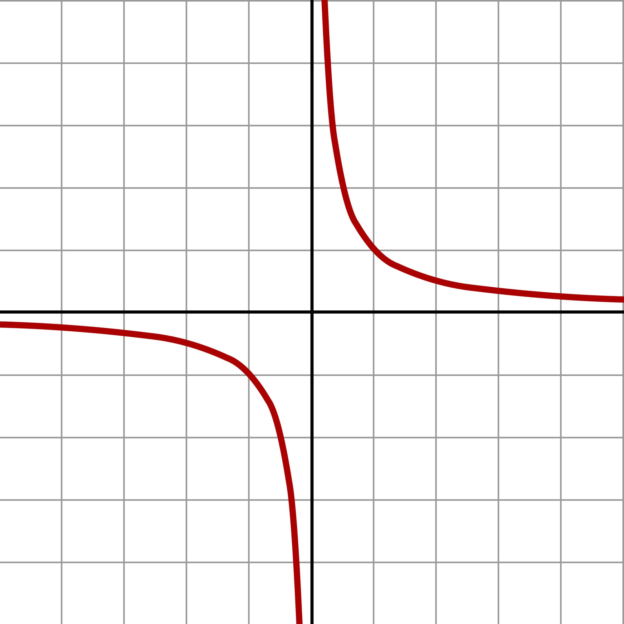 Grafische Abbildung einer Hyperbel: 1/x