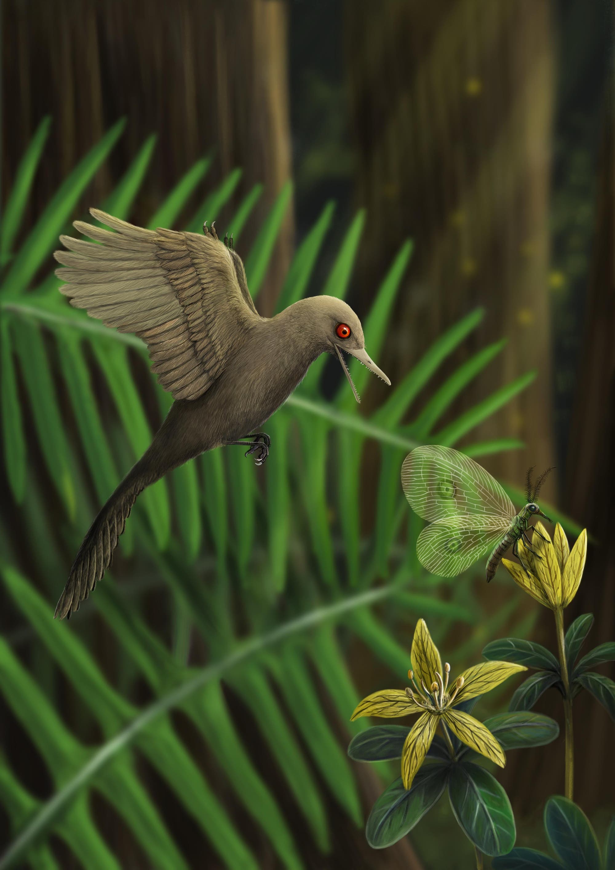 Die künstlerische Darstellung zeigt den neu entdeckten Minidinosaurier auf der Jagd nach einem Insekt.