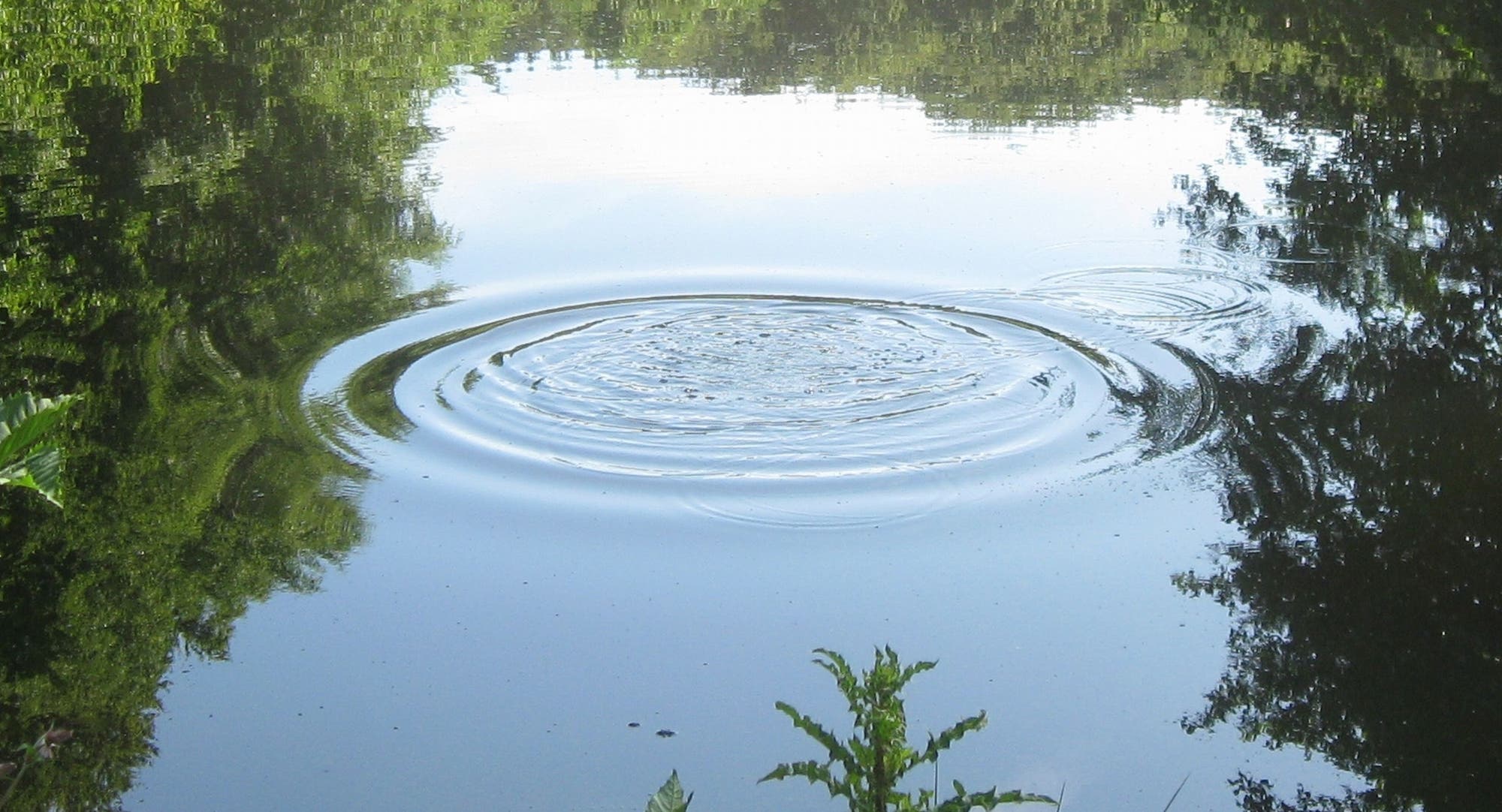 Foto ringförmiger Wellen in einem Teich