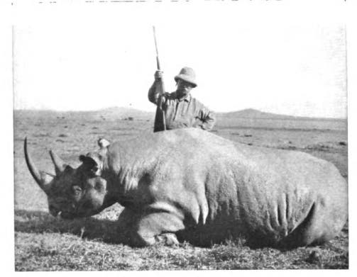 Theodore Roosevelt mit getötetem Nashorn