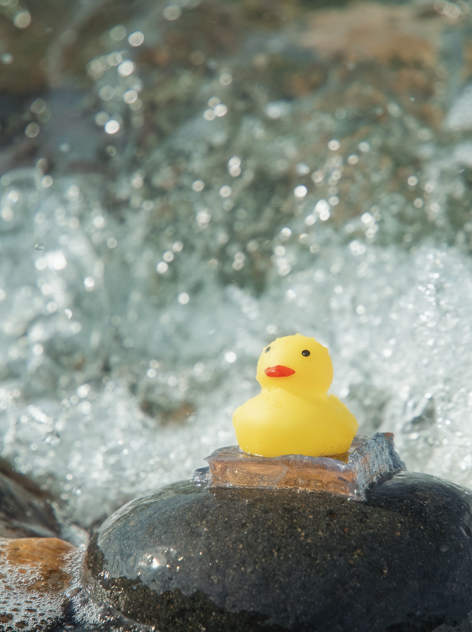 Eine gelbe Gummiente sitzt auf einem Stück transparentem Hydrogel, das auf einem nassen, glatten Stein am Meer platziert ist. Im Hintergrund ist die schäumende Brandung zu sehen. Eine gelbe Gummiente sitzt auf einem Stück transparentem Hydrogel, das auf einem nassen, glatten Stein am Meer platziert ist. Im Hintergrund ist die schäumende Brandung zu sehen.