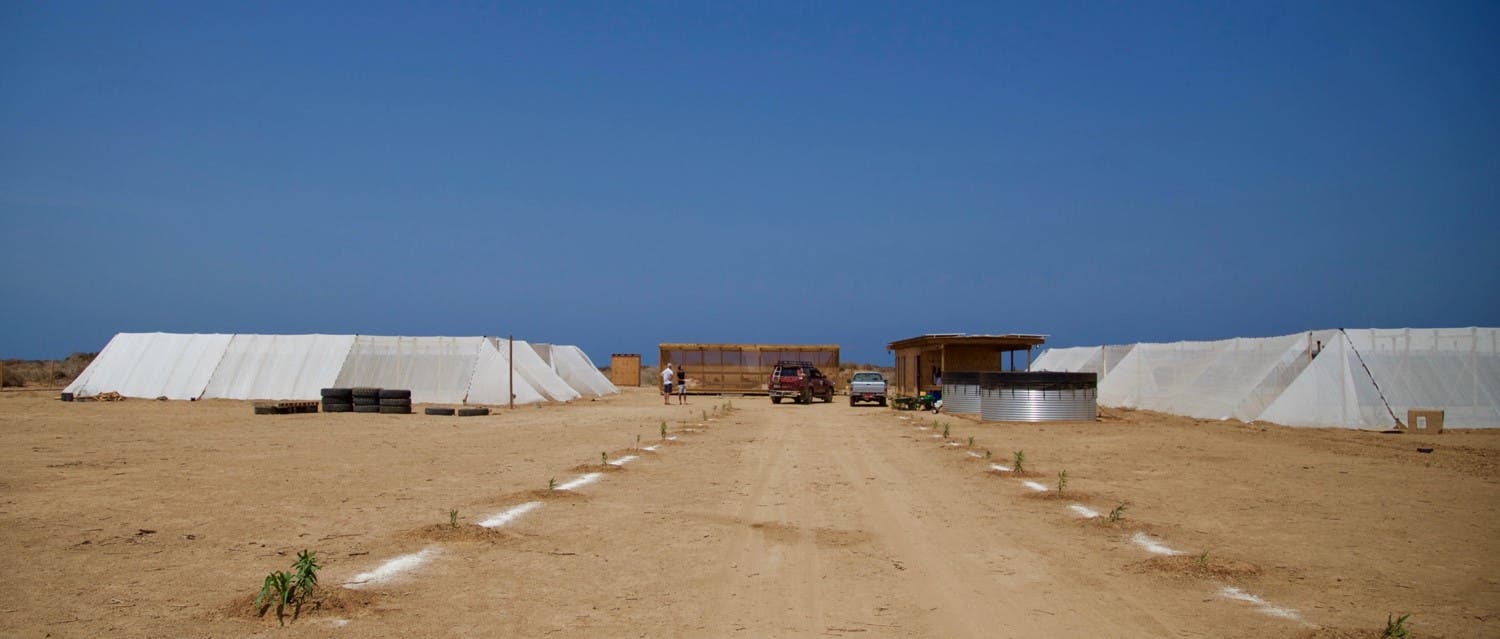 Seewasserbetriebenes Gewächshaus im Somaliland