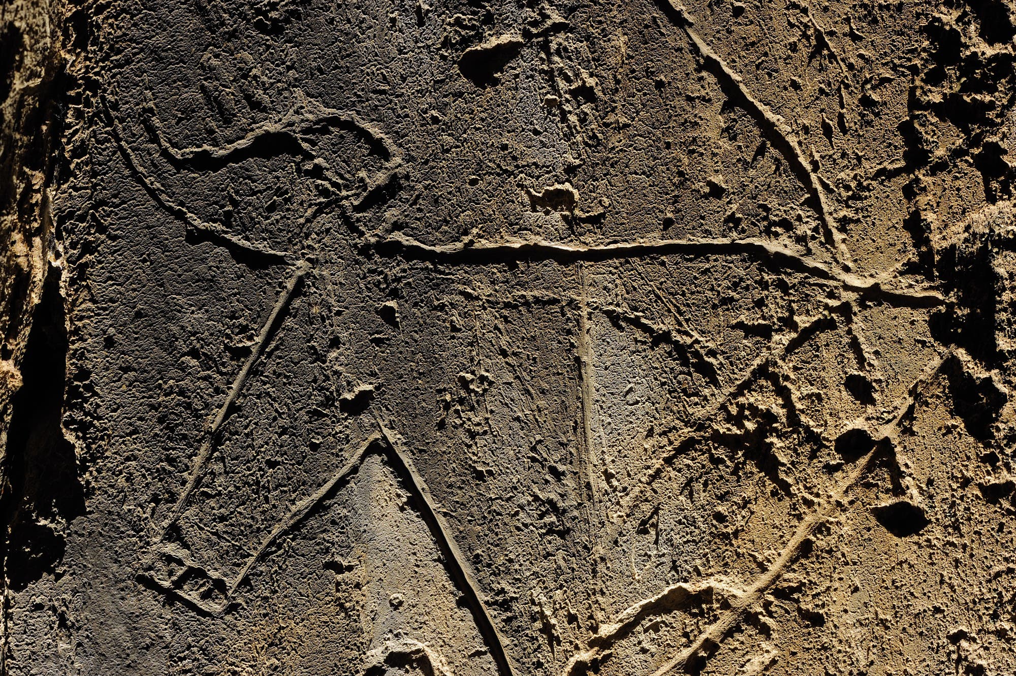 Höhlenzeichnung eines Auerochsen
