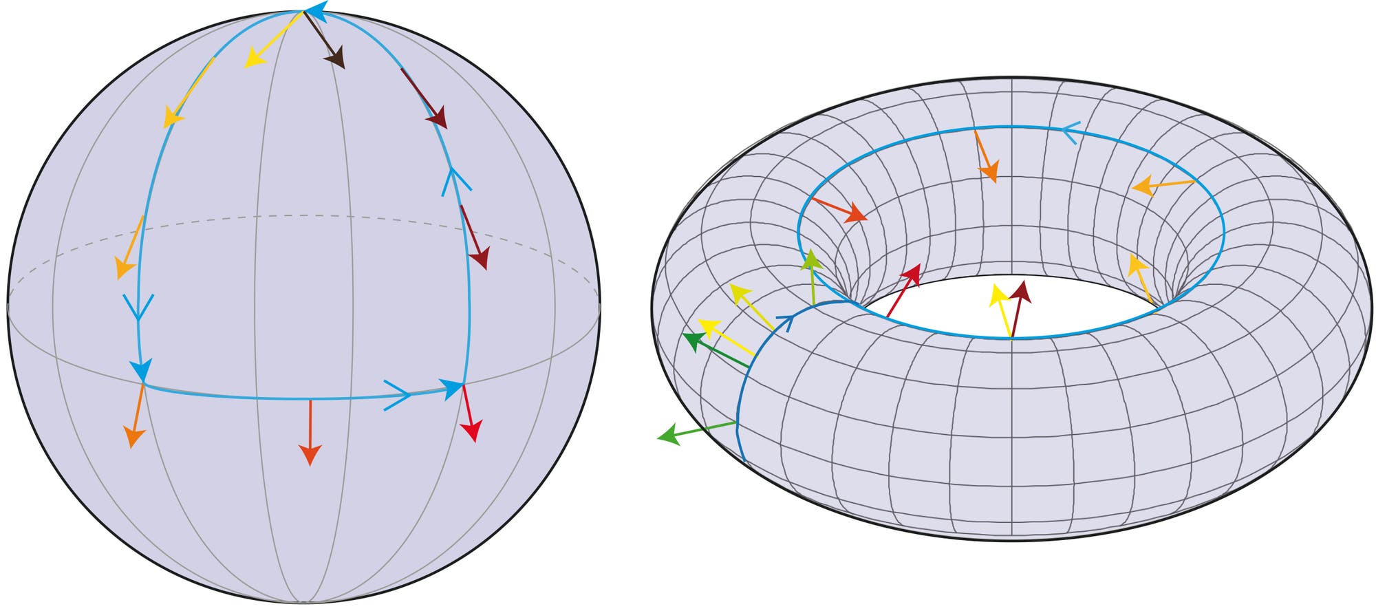 Wege auf Kugel und Torus