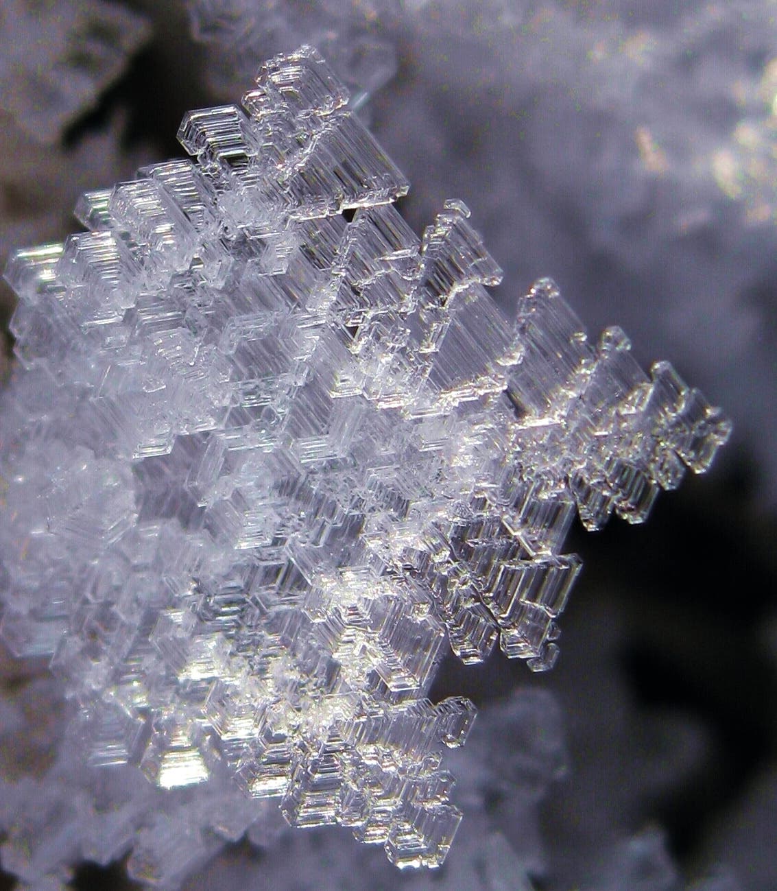 Die Nahaufnahme eines Eiskristalls zeigt eine lamellenartige Staffelung von Kristallarmen.