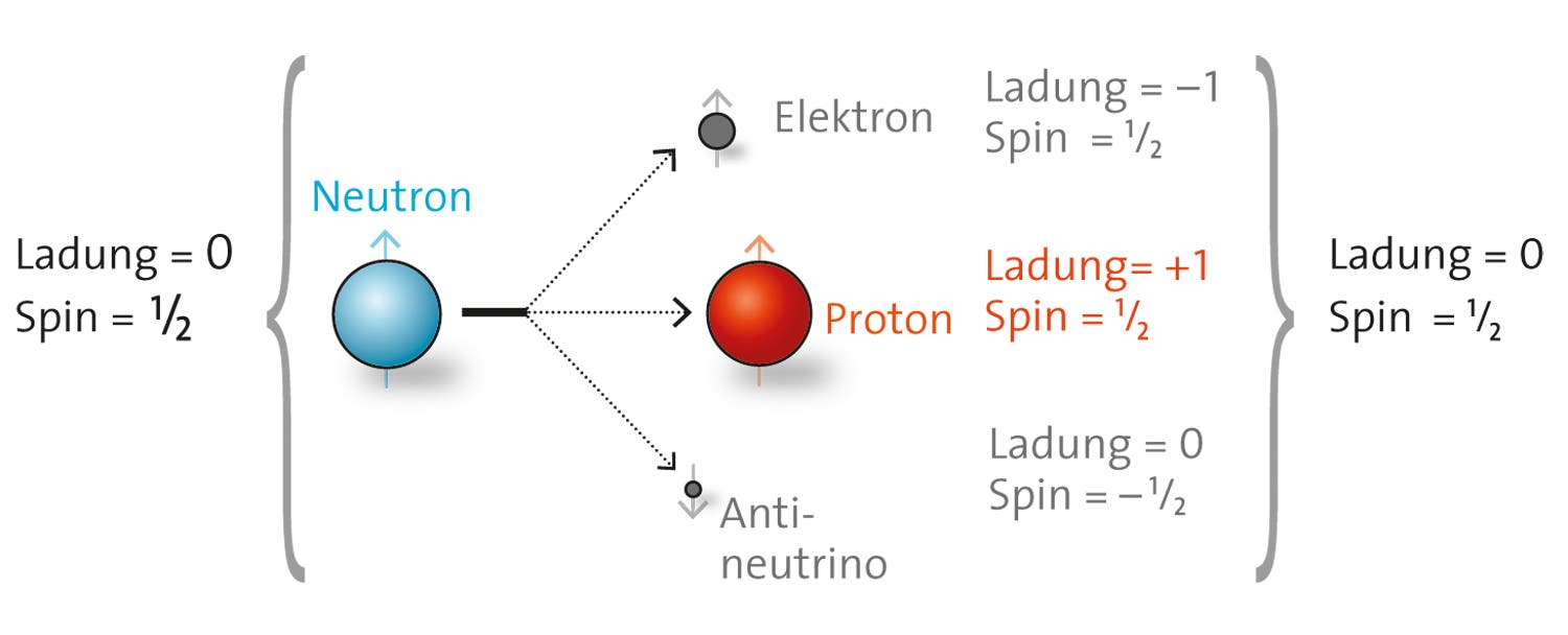 Wie das Neutron zerfällt: Schema