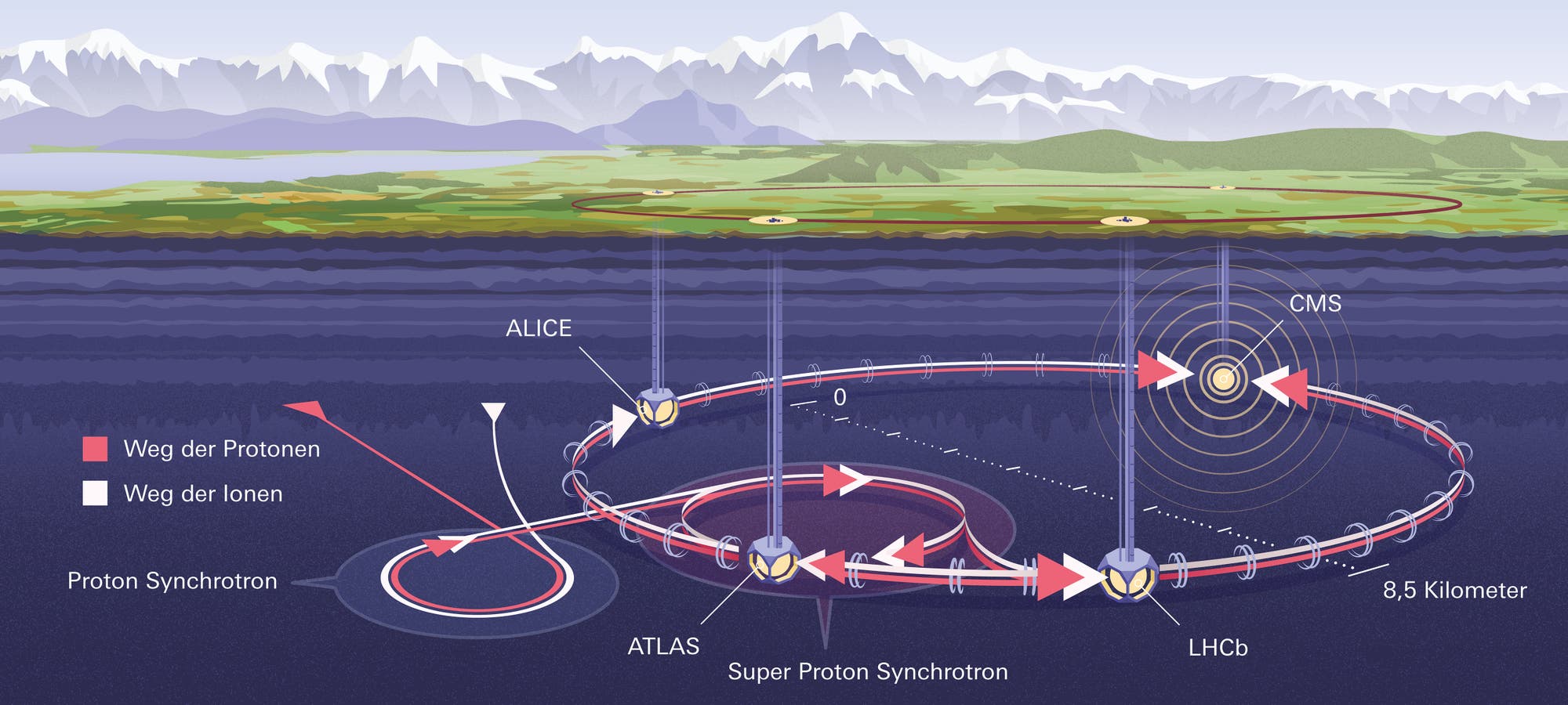 Grafik der Anlage des Large Hadron Collider (LHC)