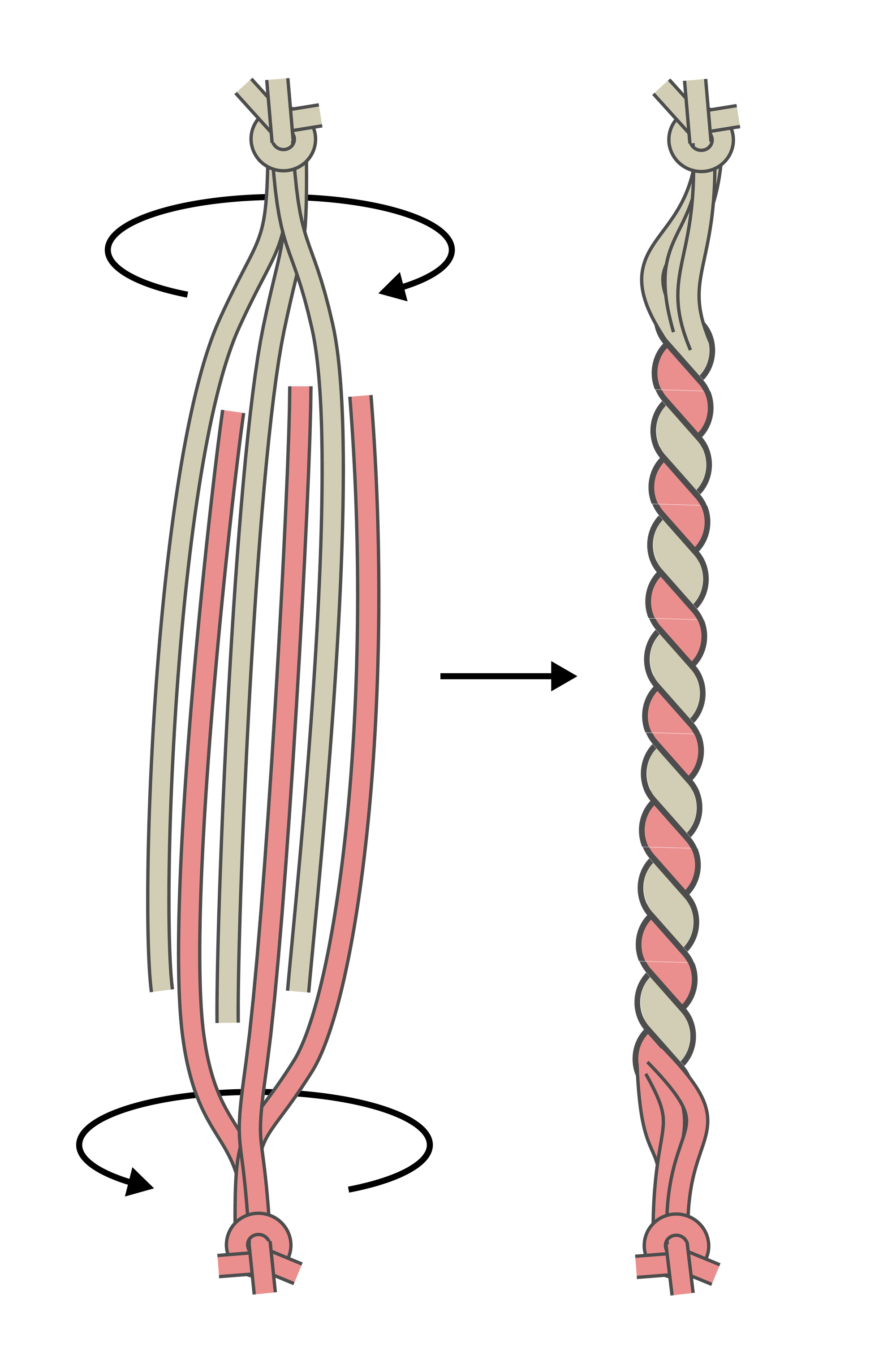 Illustration von je drei roten und grünen Fäden, die gegeneinander verdreht werden