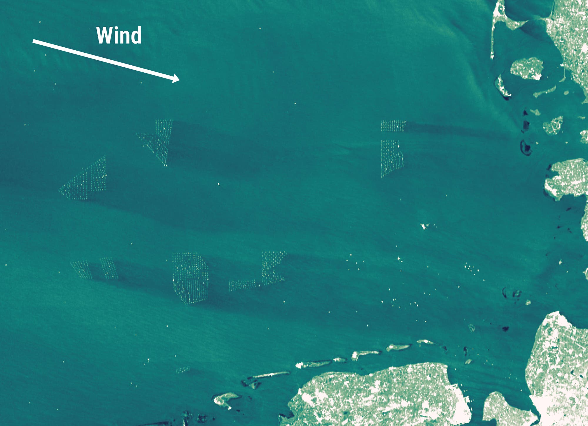 Satellitenbild eines Teils der Nordsee mit mehreren Offshore-Windparks, die als geometrische Muster im Wasser sichtbar sind. Rechts unten ist die Küstenlinie von Dänemark zu sehen. Die Windparks sind durch ihre regelmäßige Anordnung erkennbar. Das Bild zeigt die Bedeutung erneuerbarer Energien in der Region. Oben links im Bild ist ein weißer Pfeil mit Beschriftung "Wind" zu sehen, dessen Spitze mit einer Neigung von 15 Grad die Windrichtung gen Küste rechts unten  anzeigt.