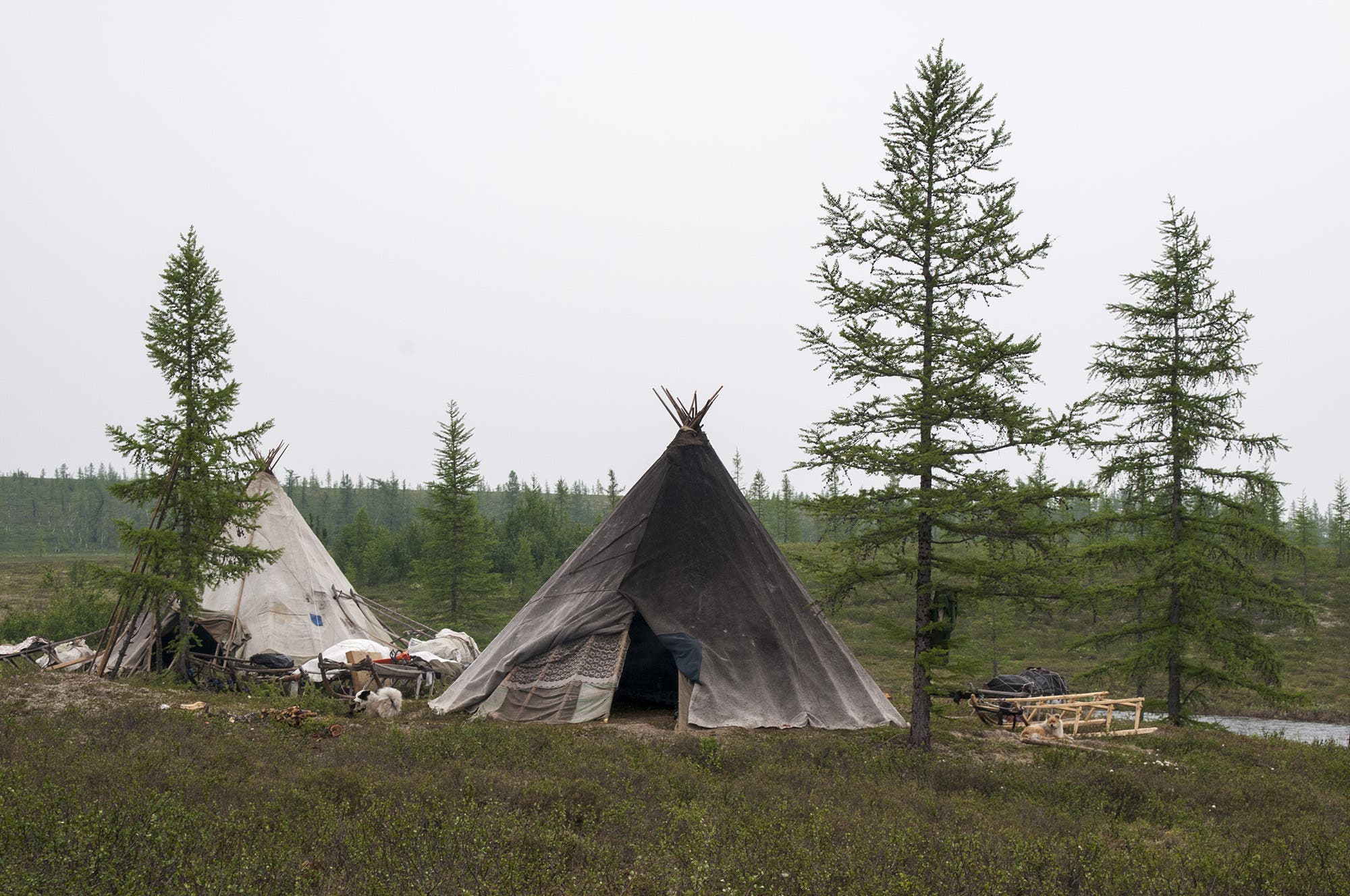 Zelte von sibirischen Nomaden
